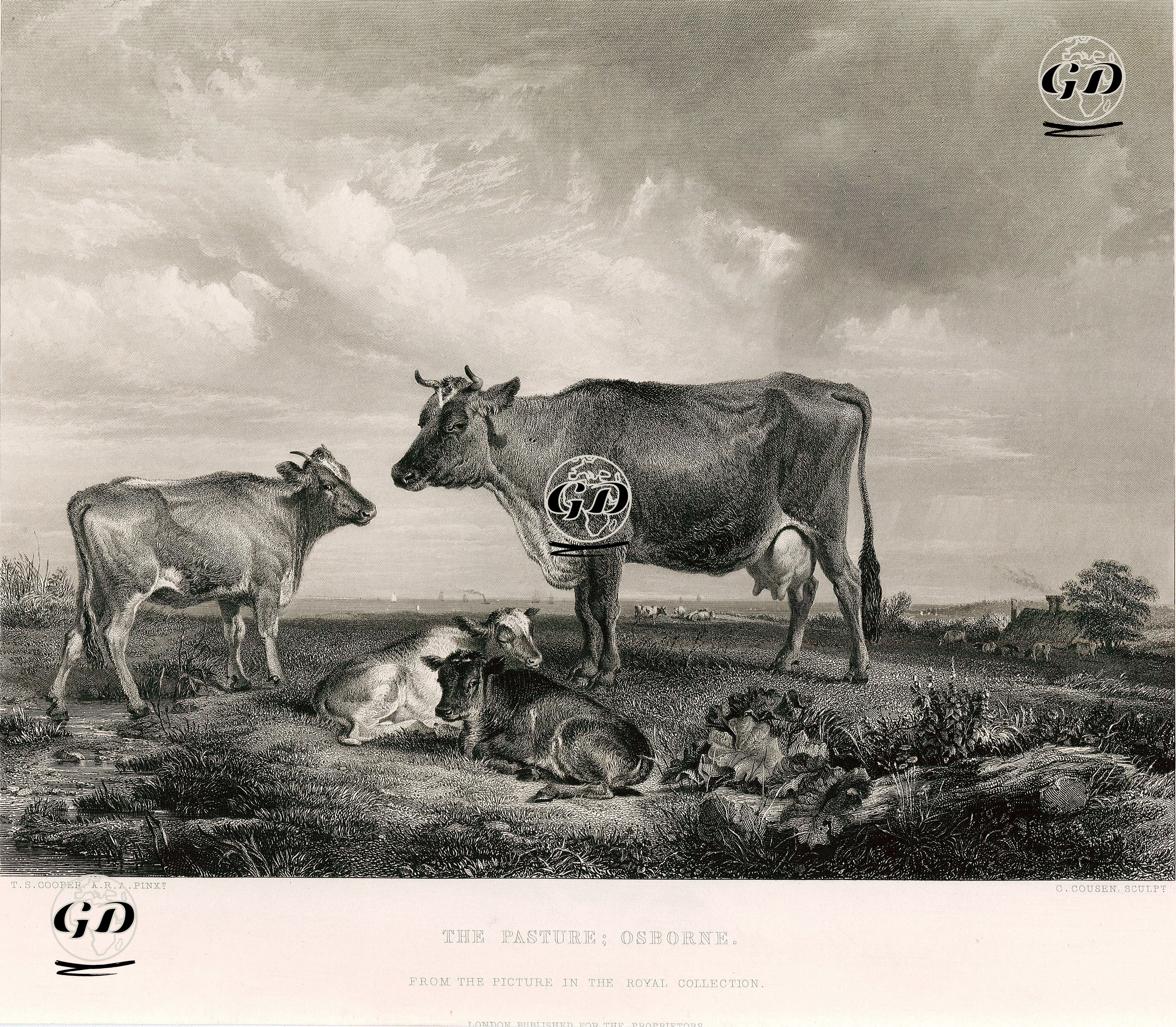 The Pasture - Osborne  - Thomas Sidney Cooper (1803-1902) - 1851