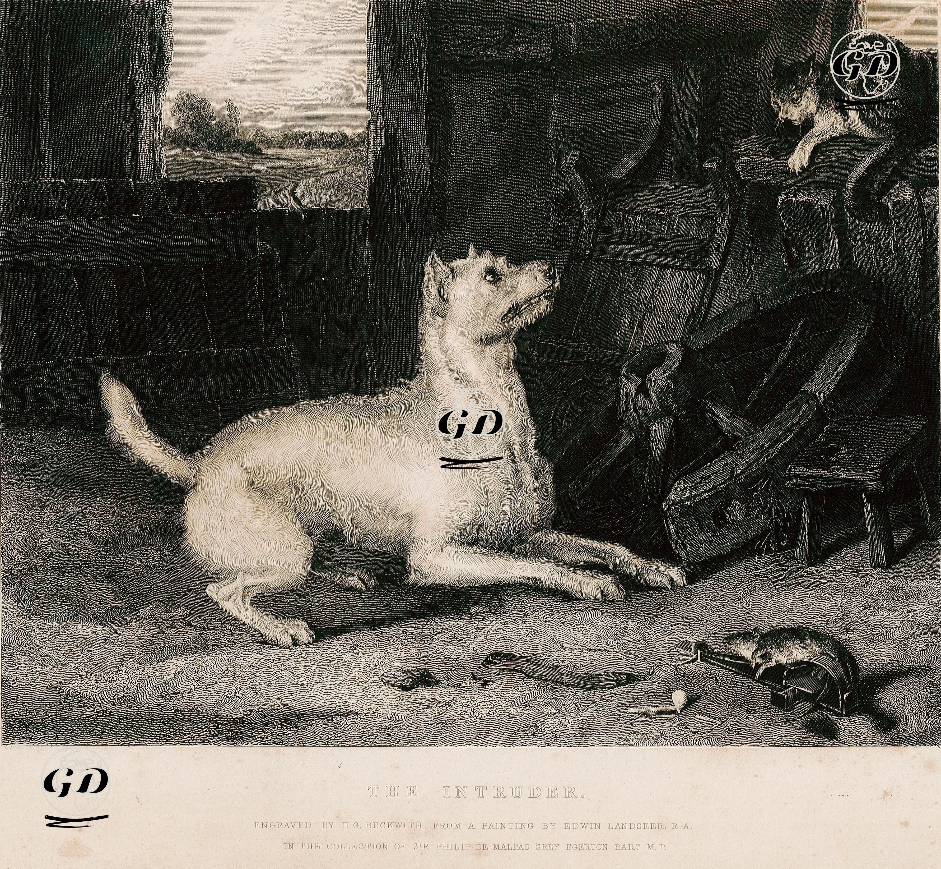 Davetsiz Misafir - Edwin Henry Landseer (1802-1873) - 1848