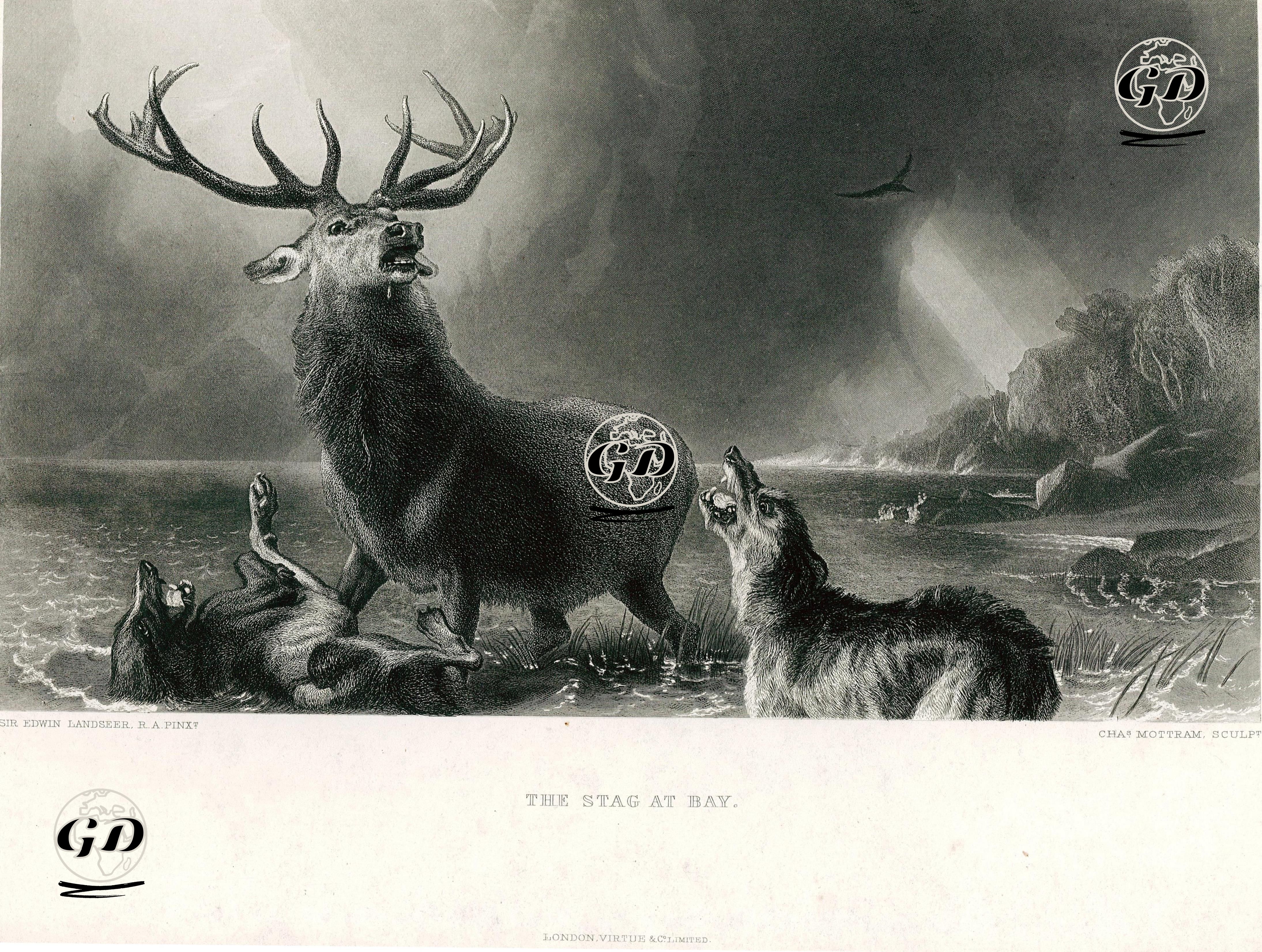  Koyda Kurtlarla Dövüşen Erkek Geyik - Edwin Henry Landseer (1802-1873) - 1870