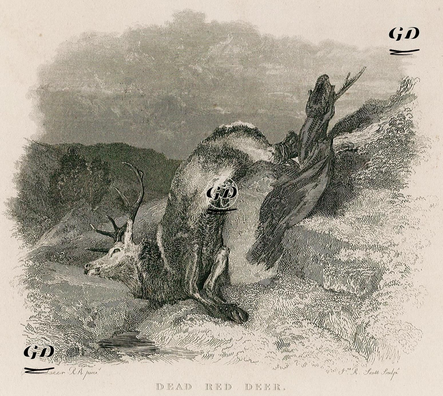 Ölmüş Kızıl Geyik - Edwin Henry Landseer (1802-1873) - 1830's
