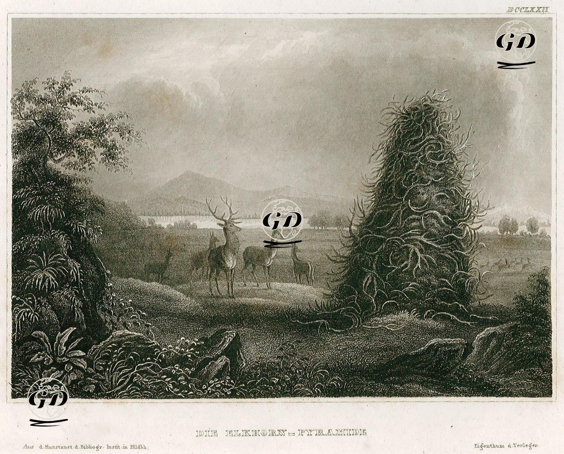 Geyik Boynuzu Piramiti -  - 1845
