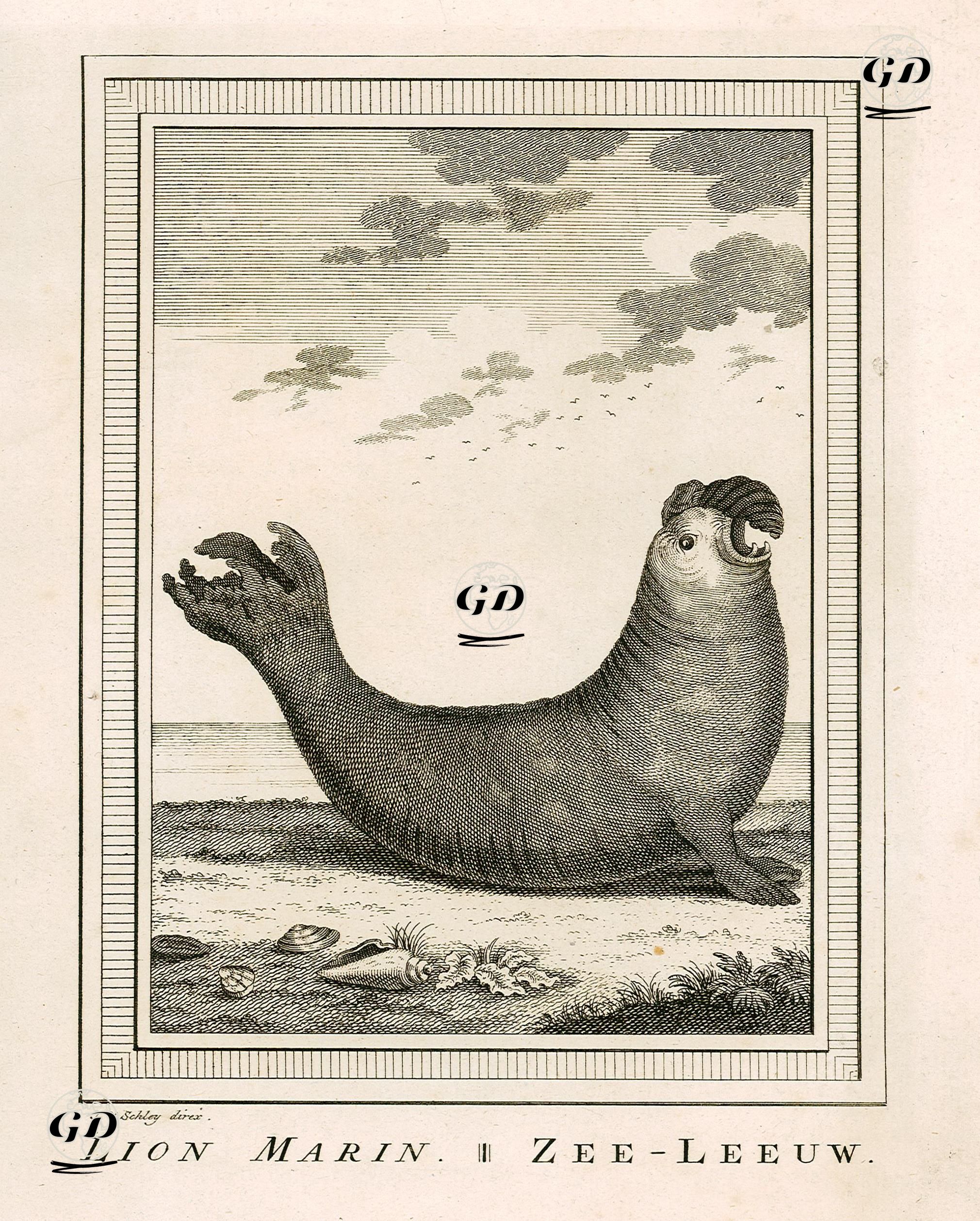 Lion Marin-Zee-Leeuw -  - 1749