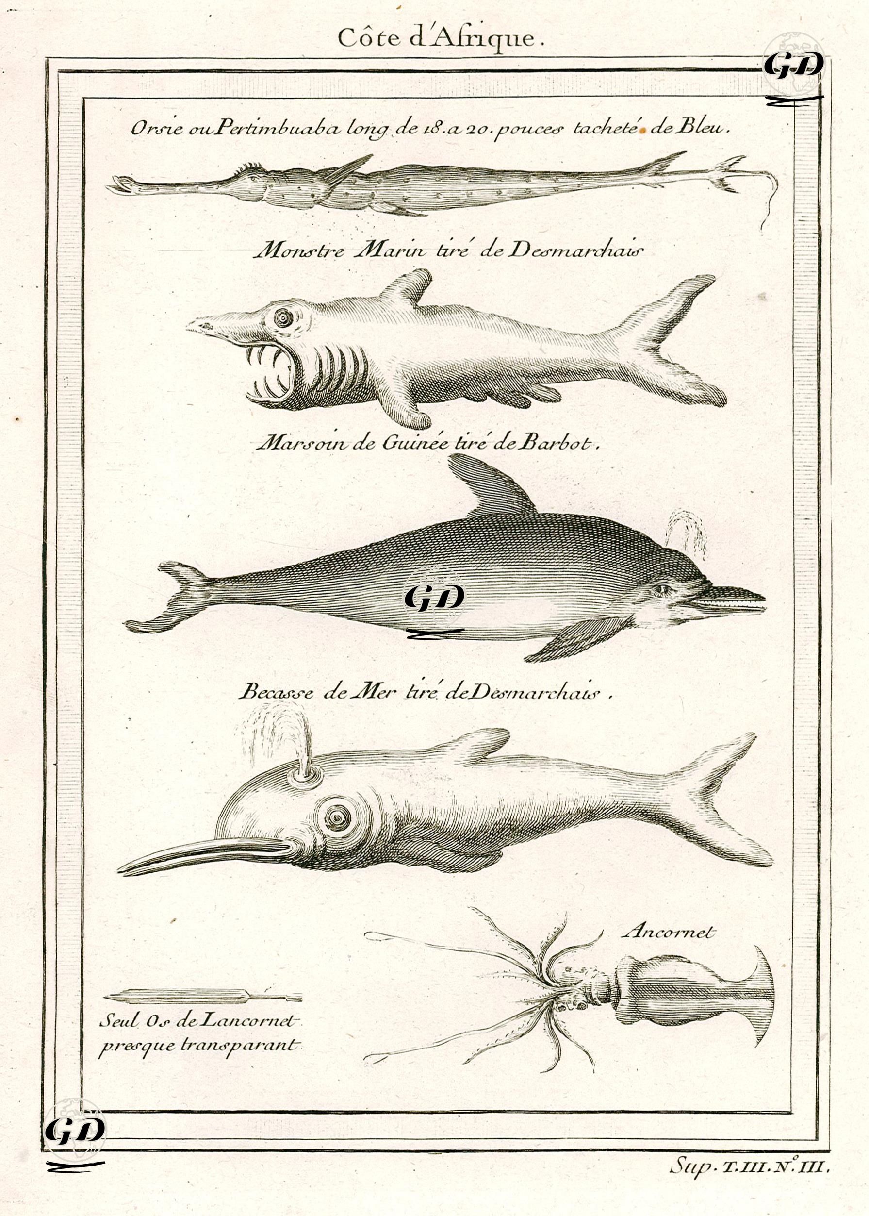 Cote D'Afrique- Orsie, Monstre Marin Tire De Desmarchais-Marsoin De Guinee Tire De Barbot, Becasse De 
Mer Tire De Desmarchais, Ancornet -  - 1760's