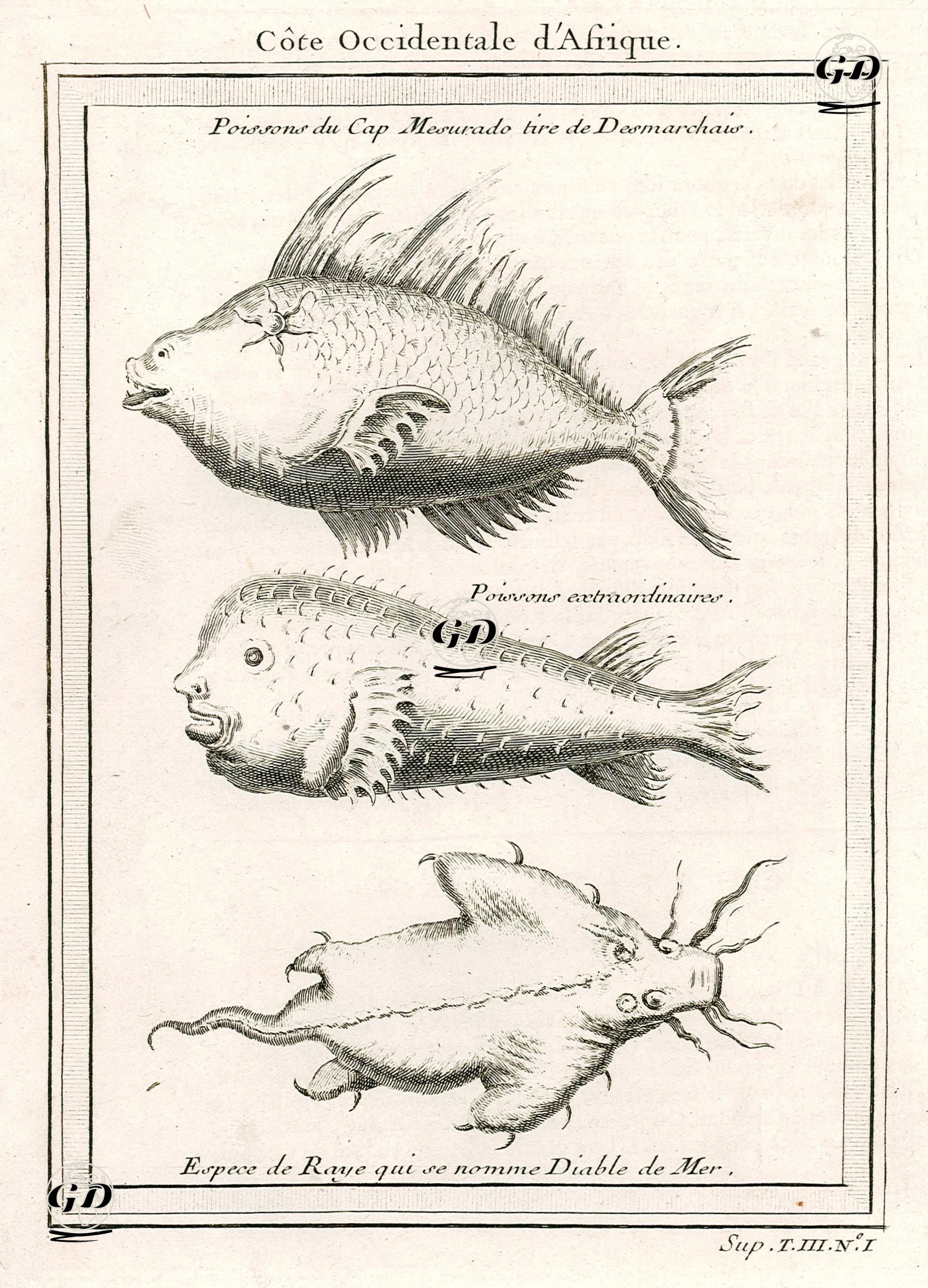 Afrika Kıyılarındaki Balıklar-Poissons Du Cap Mesurado Tire De Desmarchais, Poissons Extraordinaries, Espece De Raye Qui Se Nomme Diable De Mer -  - 1760's
