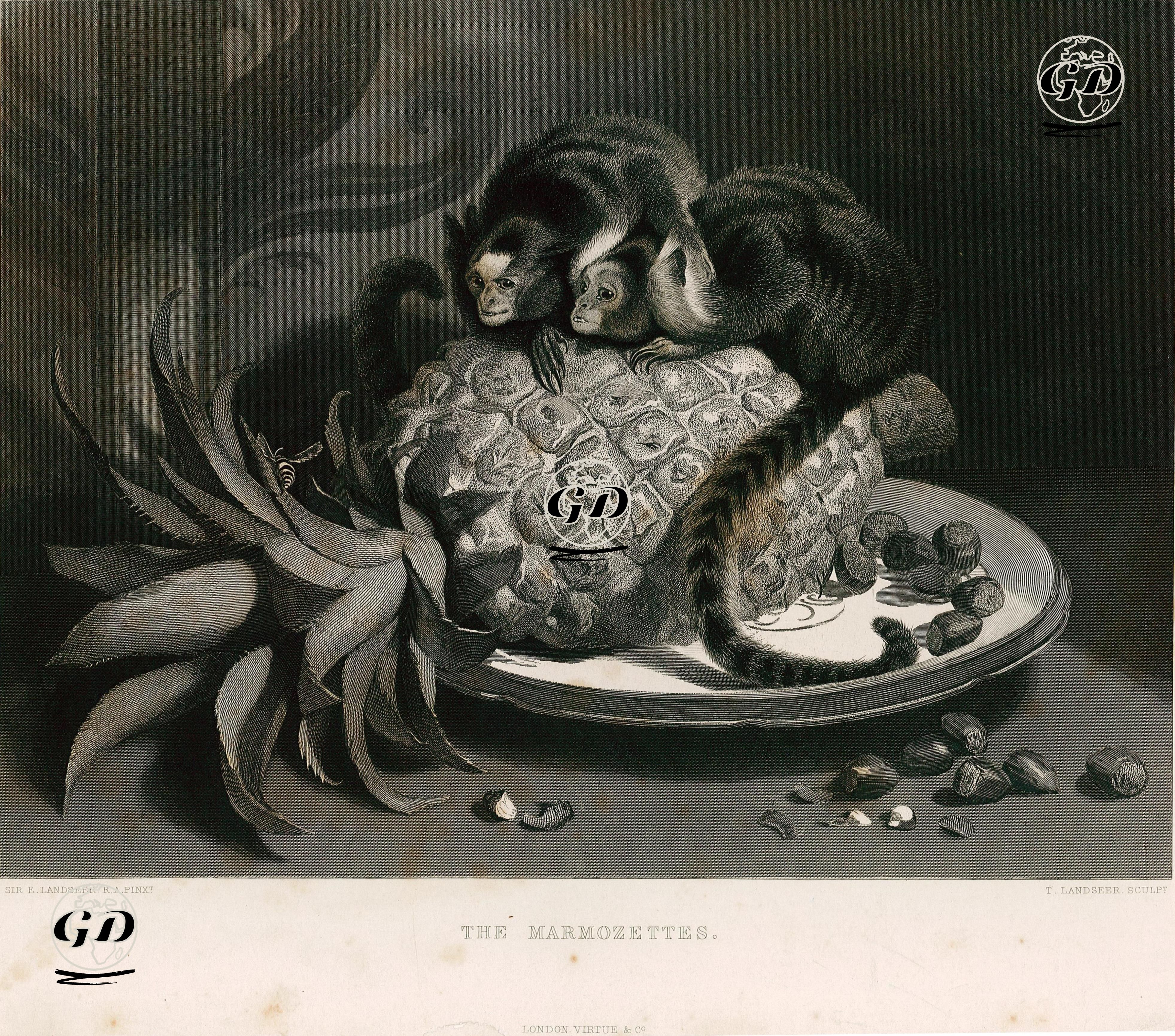 İpek Maymunlar - Edwin Henry Landseer (1802-1873) - 1859