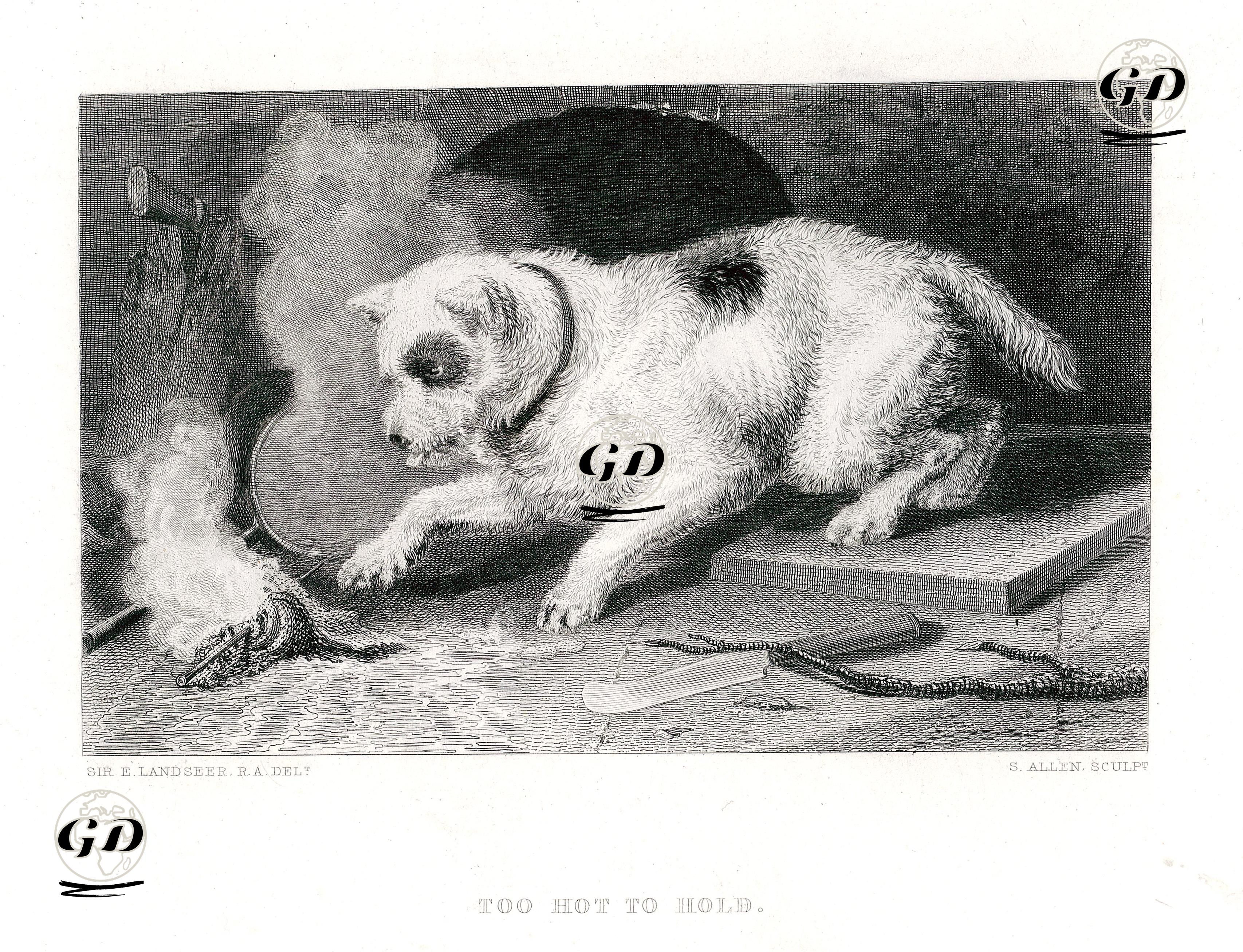 Too Hot To Hold - Edwin Henry Landseer (1802-1873) - 1850