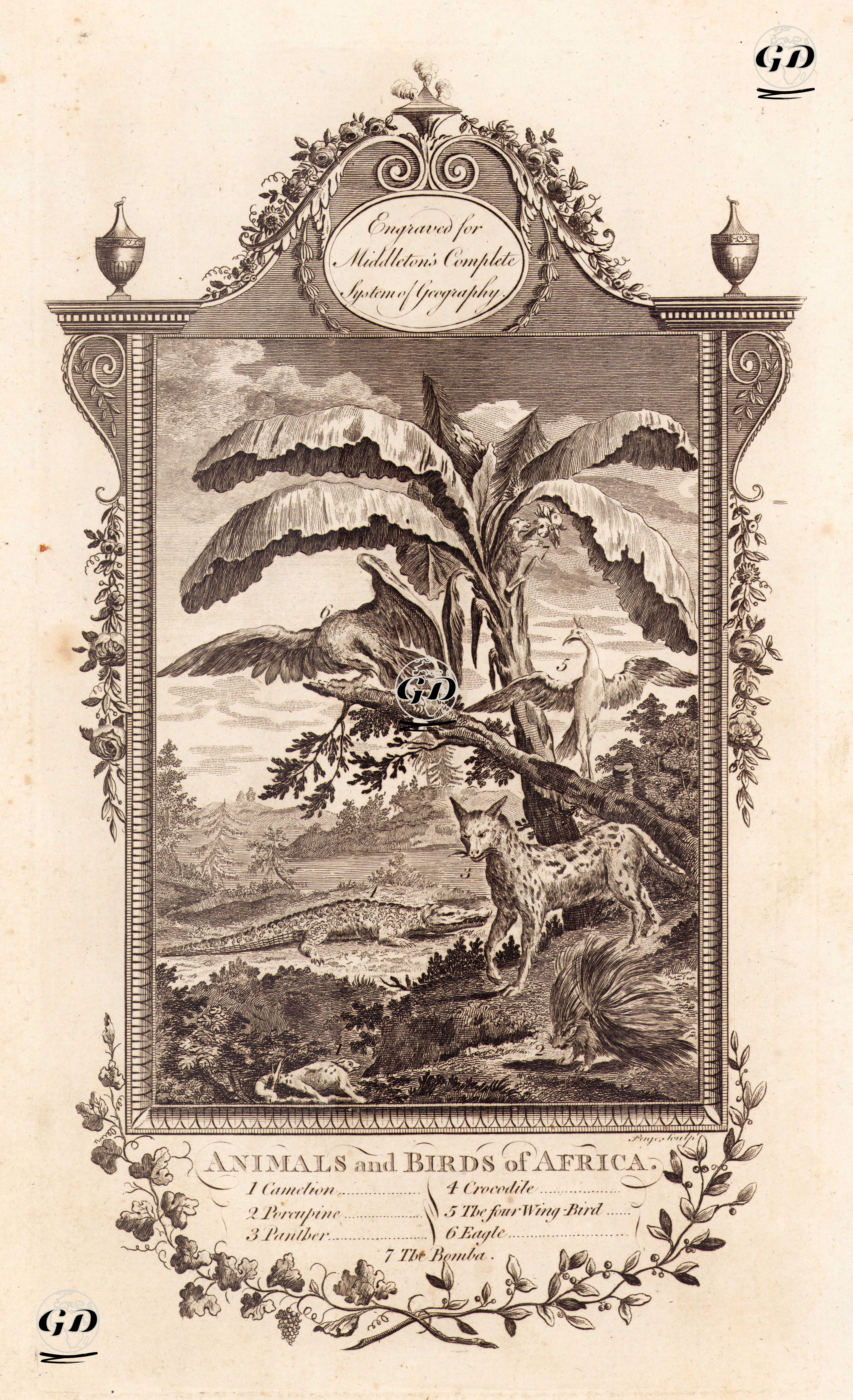 Afrika'nın Kuşları ve Hayvanları-Bukalemon, Kirpi, Panter, Timsah, Dört Kanatlı Kuş,
 Kartal, Bomba -  - 1777