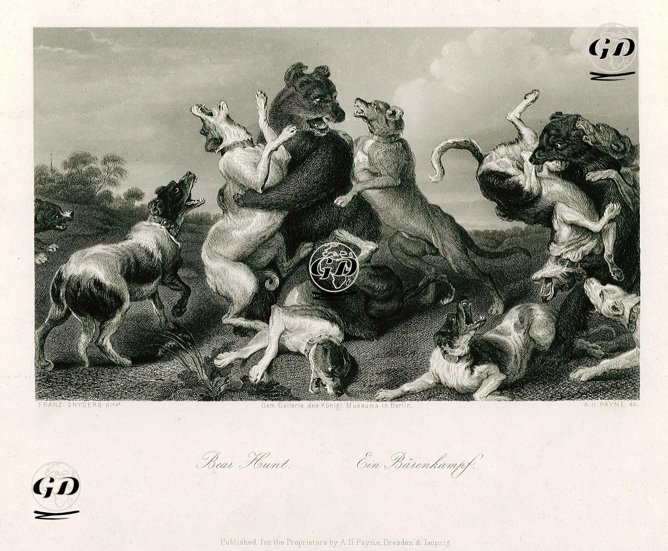 Bear Hunt-Ein Börenkampf - Frans Snyders (1579-1657) - 1850's