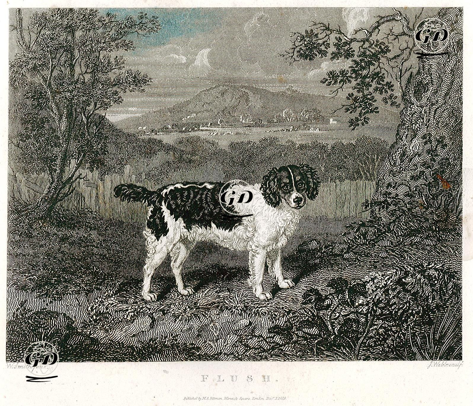 Flush - W.Smith - 1829