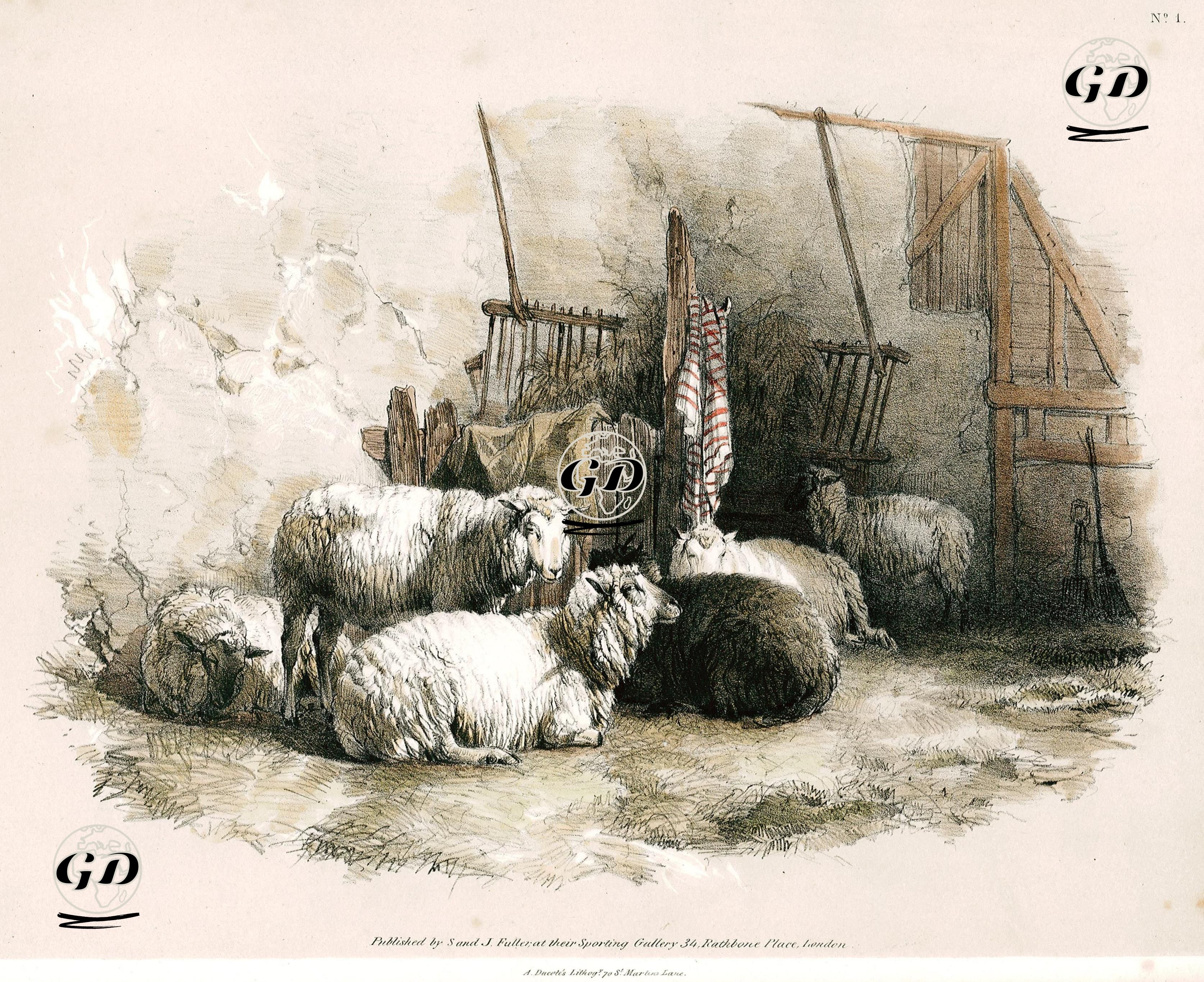 Koyunlar -  - 1830's-1840's