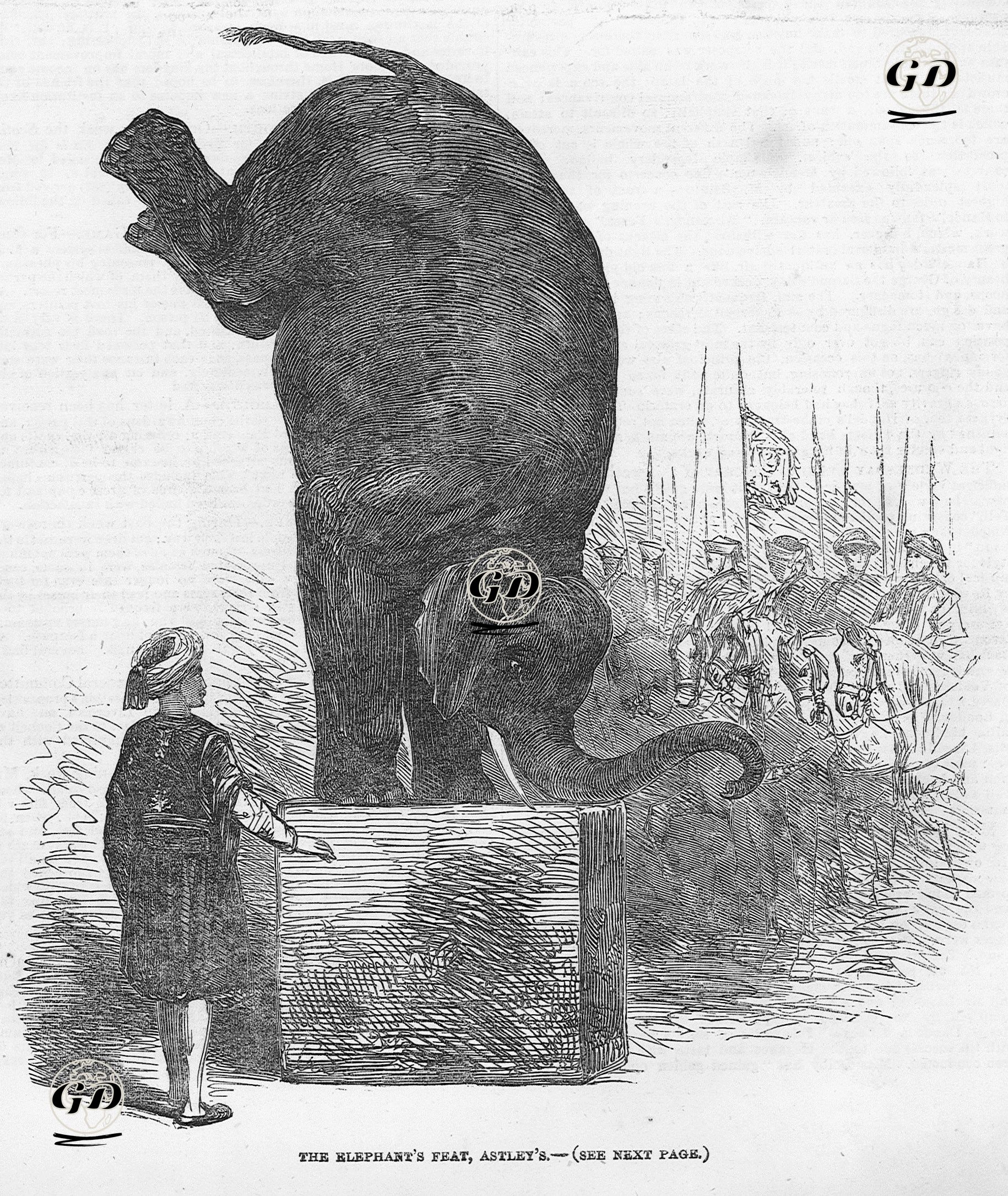 The Elephant's Feat, Astley's -  - 1853