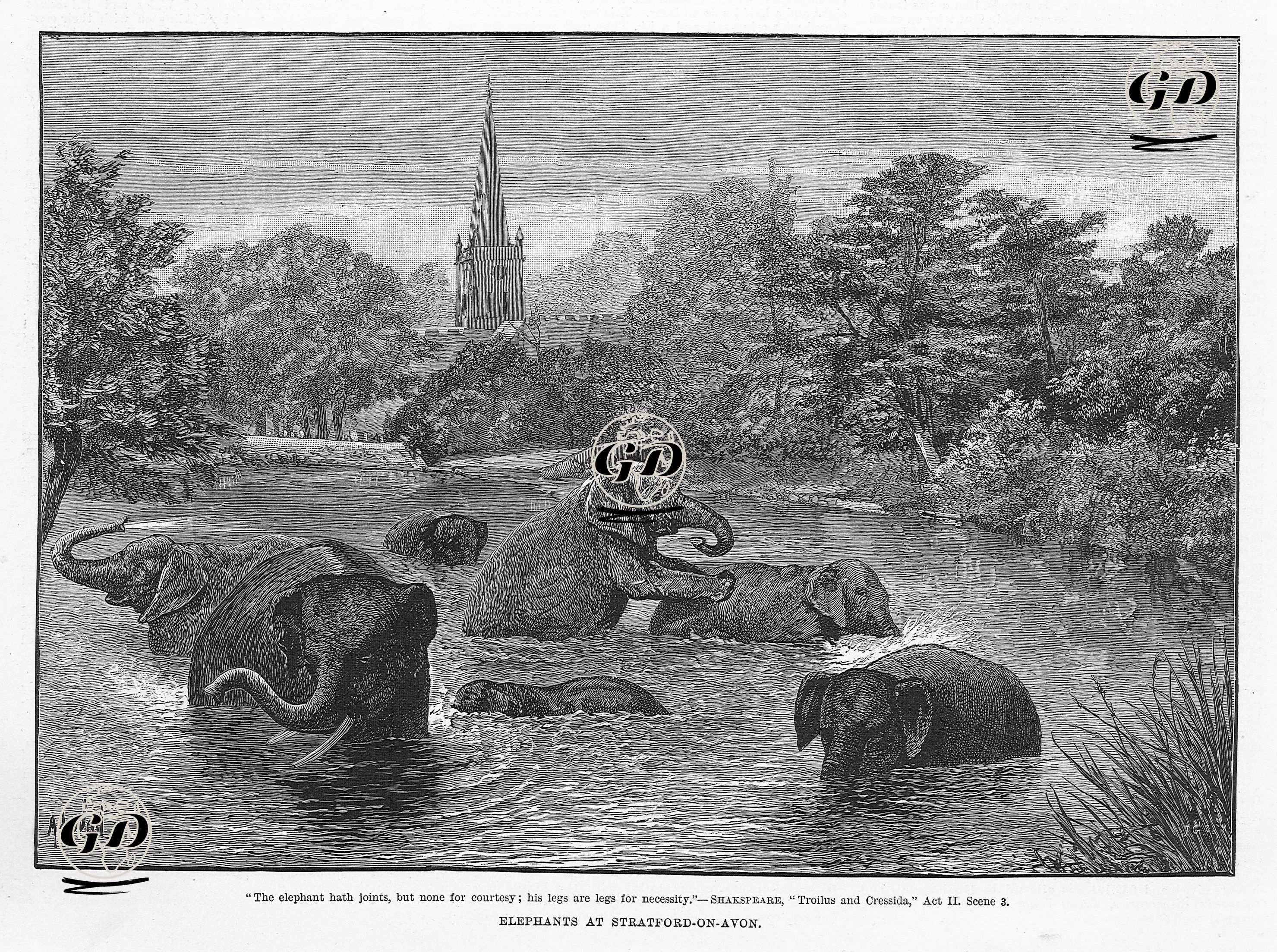 Stratford On Avon'daki Filler -  - 1890