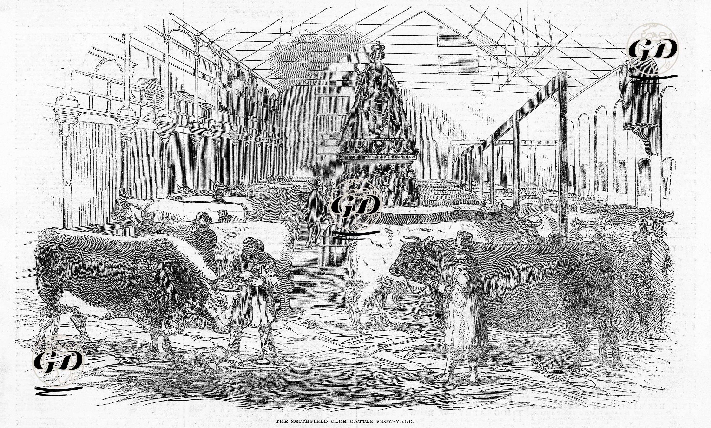 The Smithfield Club Cattle Show Yard  -  - 1852