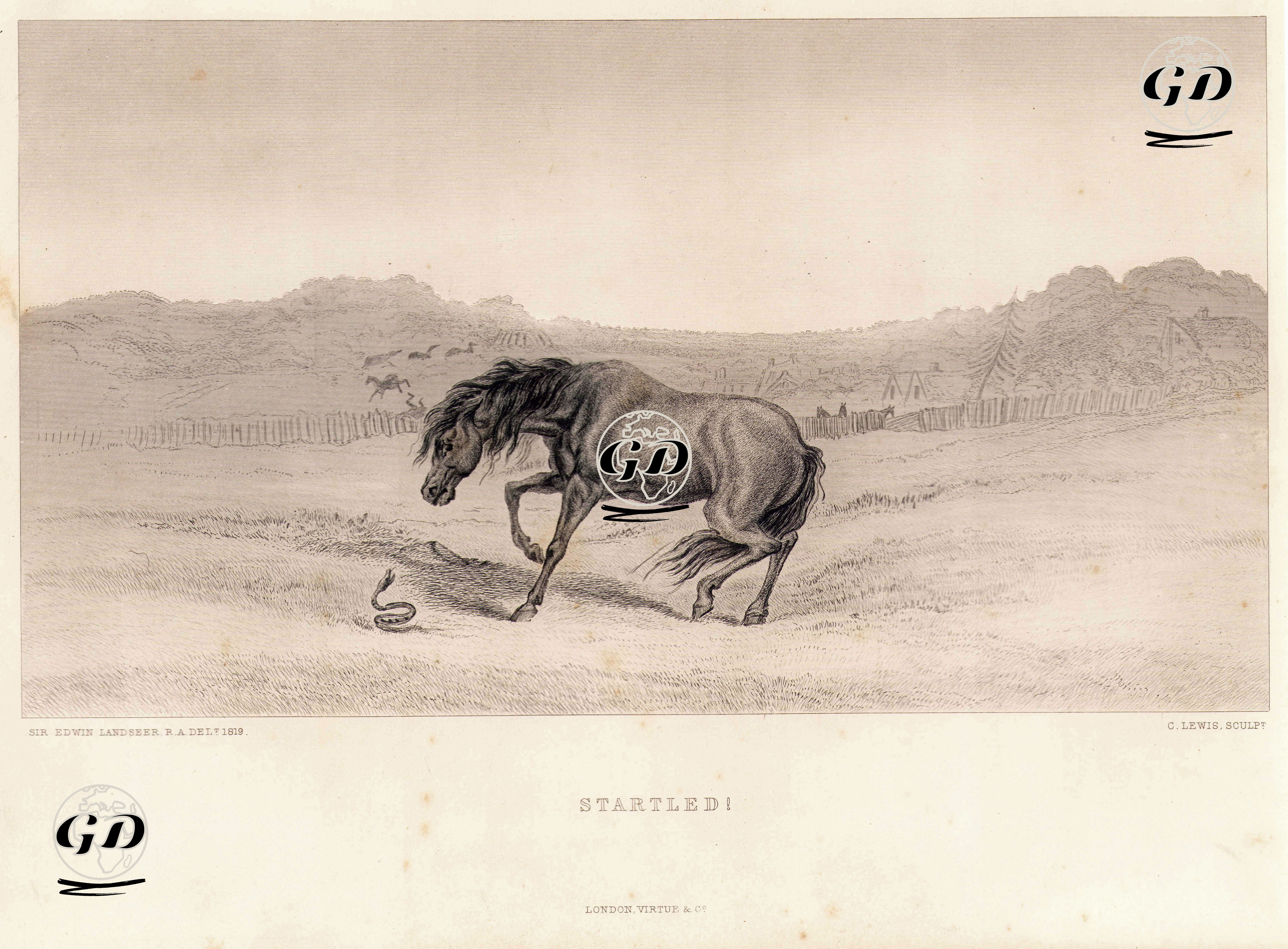 Startled! - Edwin Henry Landseer (1802-1873) - 1868