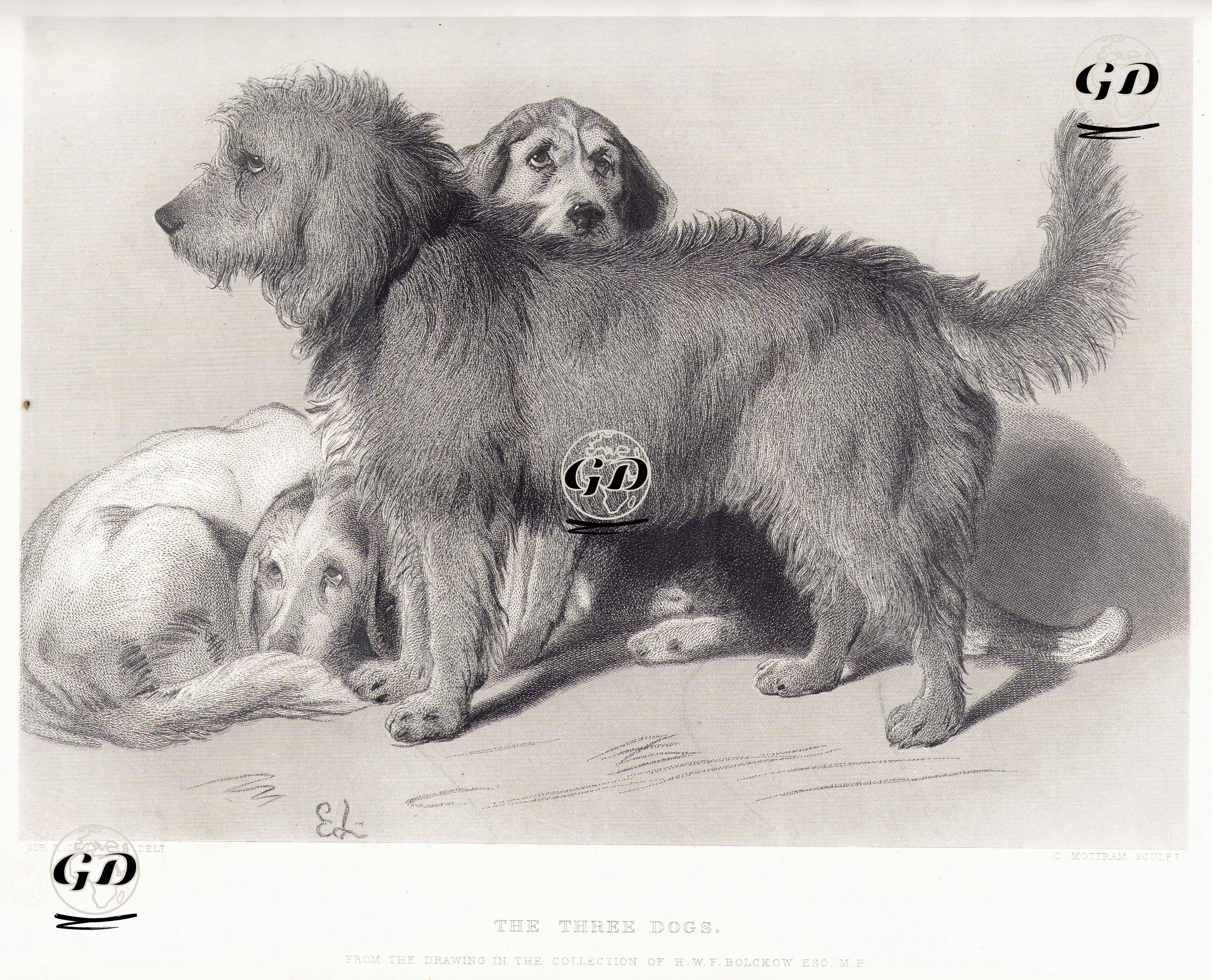 Üç Köpek - Edwin Henry Landseer (1802-1873) - 1876