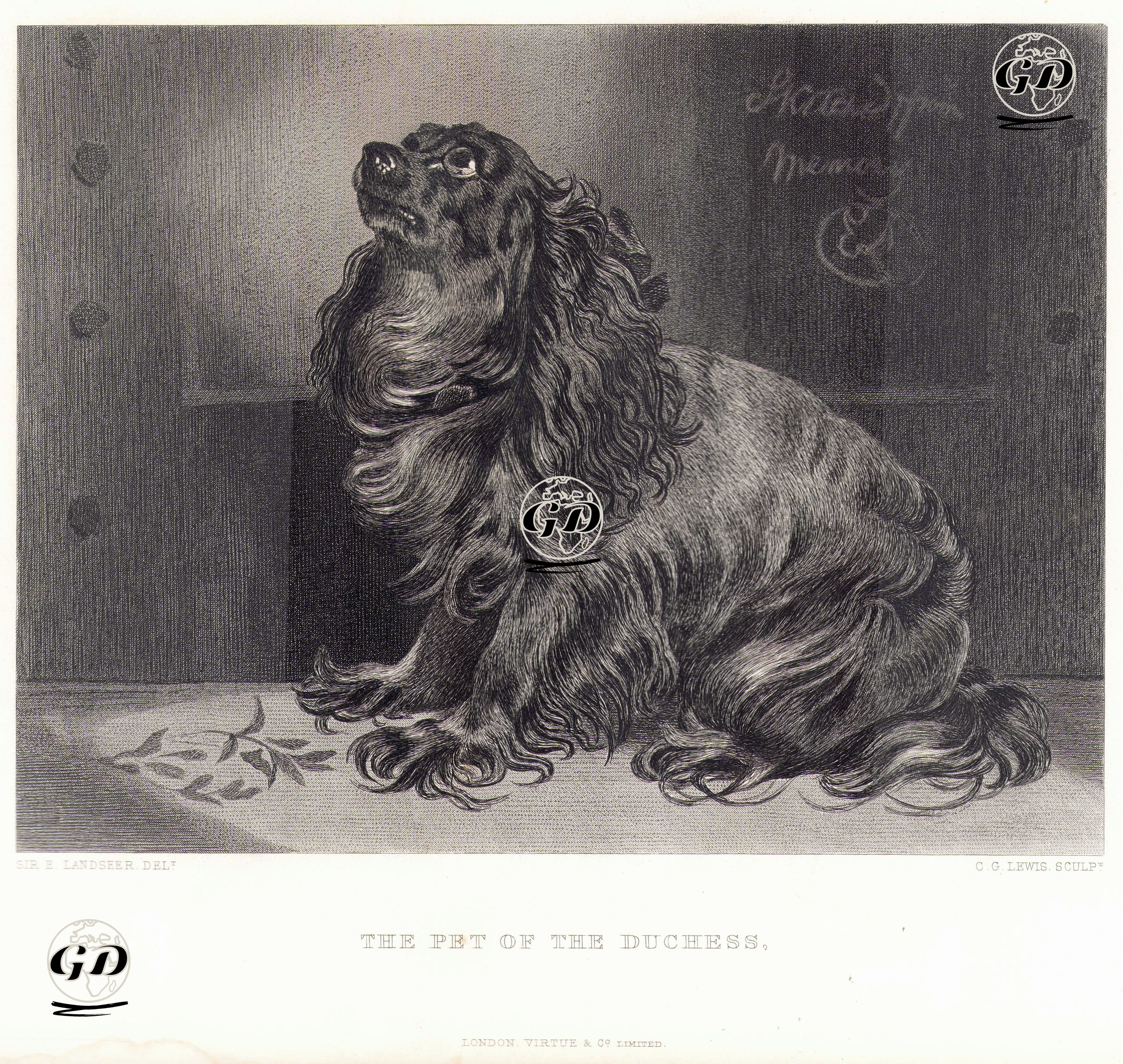 The Pet Of The Duchess - Edwin Henry Landseer (1802-1873) - 1876