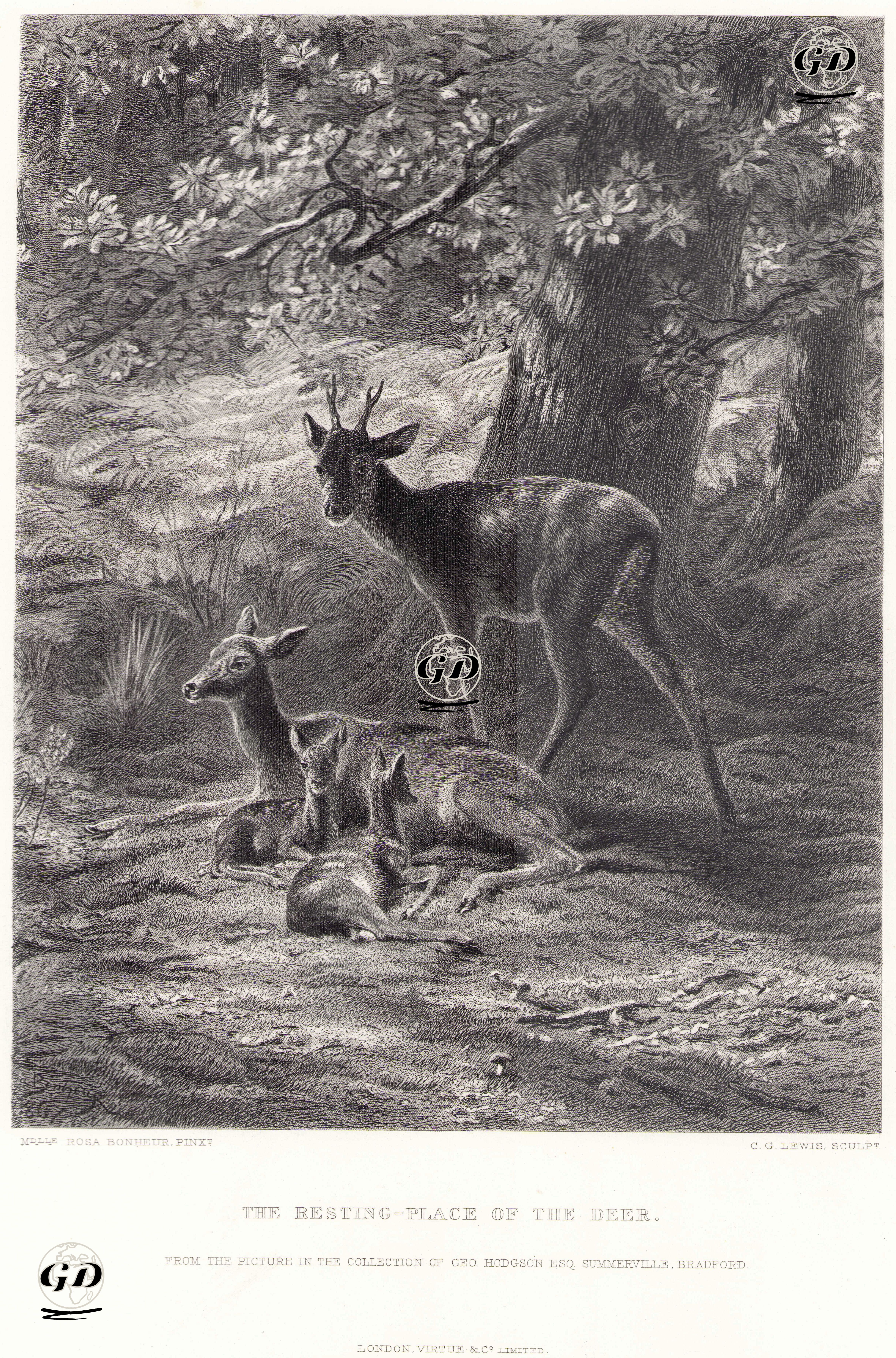 Geyiklerin Dinlendiği Yer - Ros Bonheur (1822-1899) - 1879