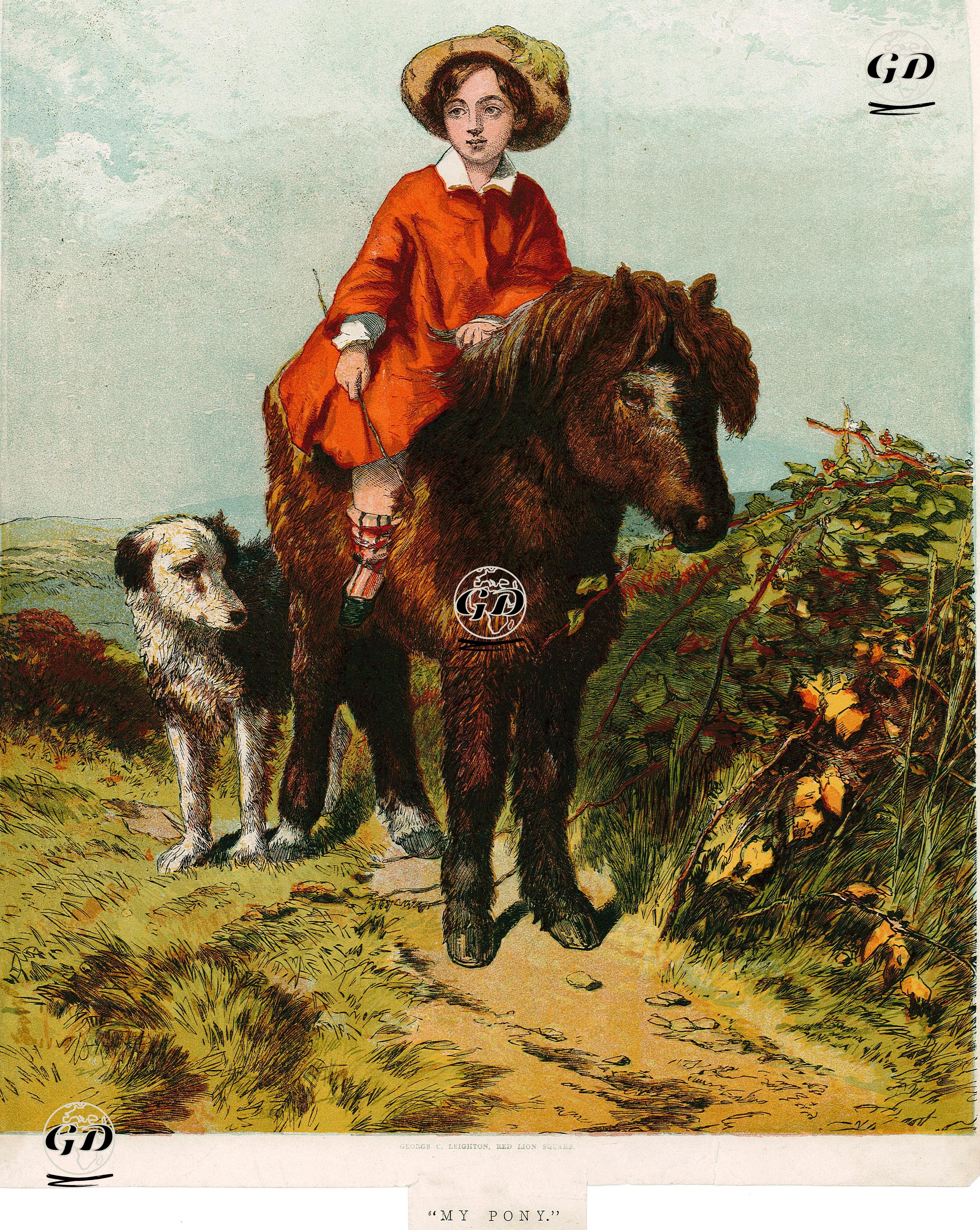 My Pony -  - 1856