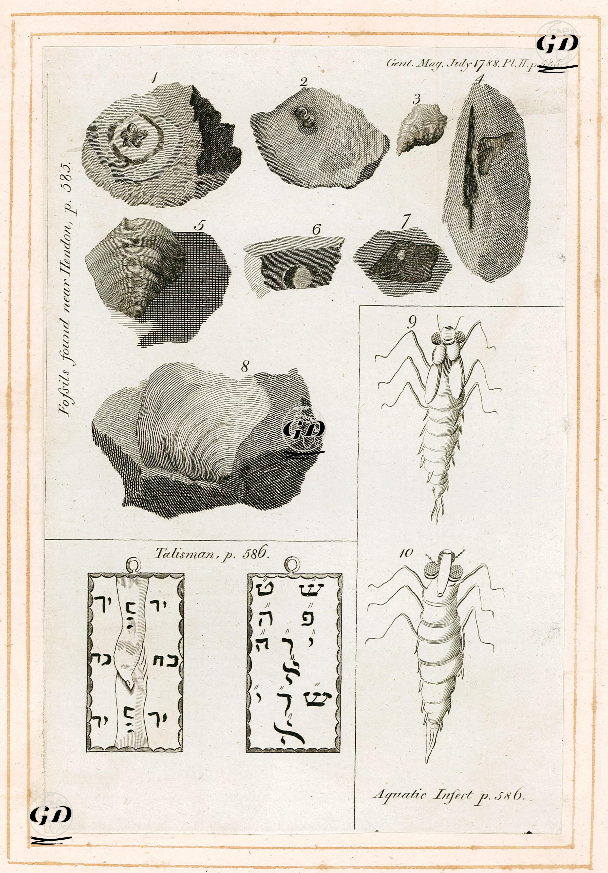 Fossils Found Near Hendon-Aquatic insect-Talisman -  - 1788