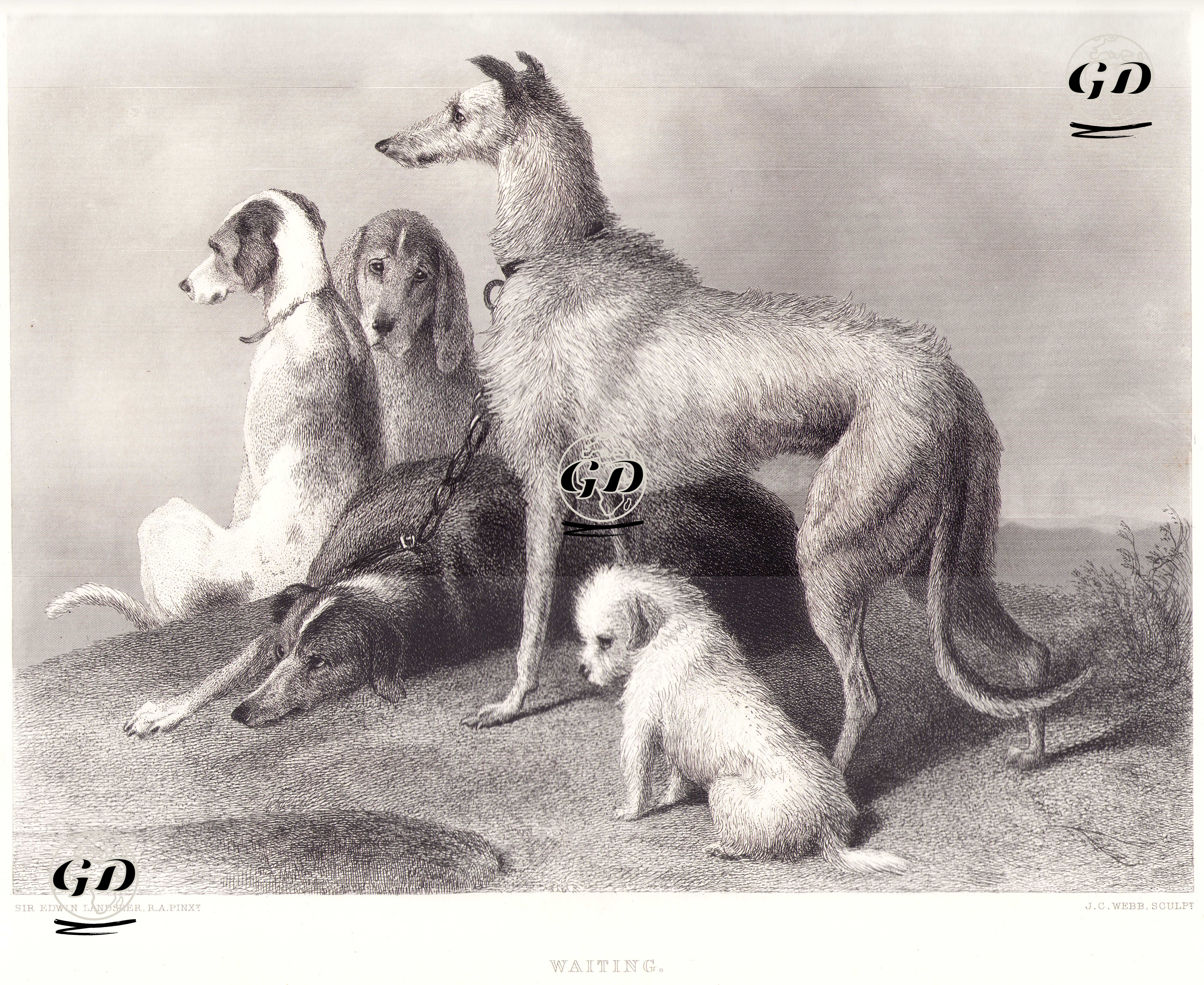 Bekleyen Köpekler - Edwin Henry Landseer (1802-1873) - 1874