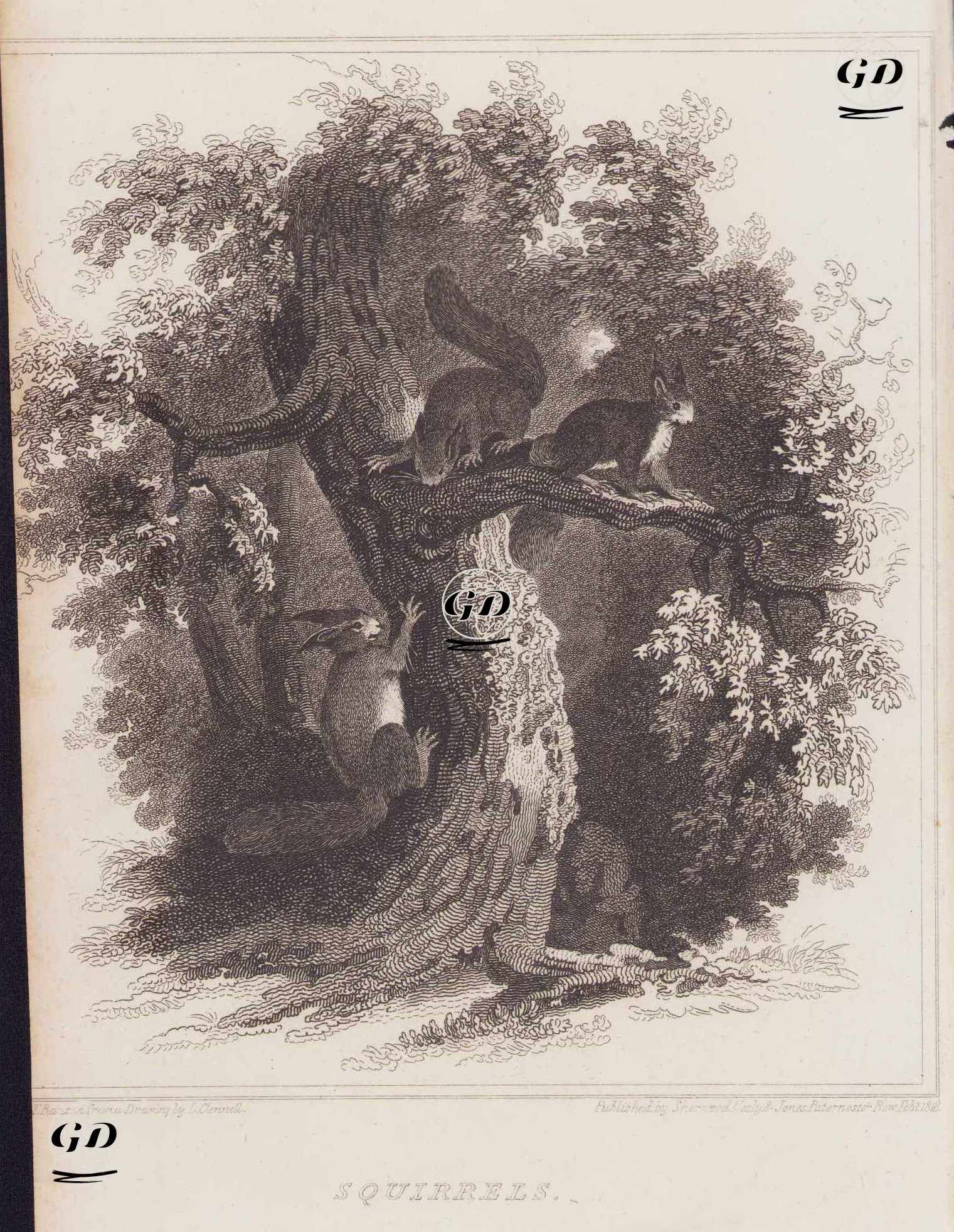 Sincaplar - Luke Clennell (1781-1840) - 1818