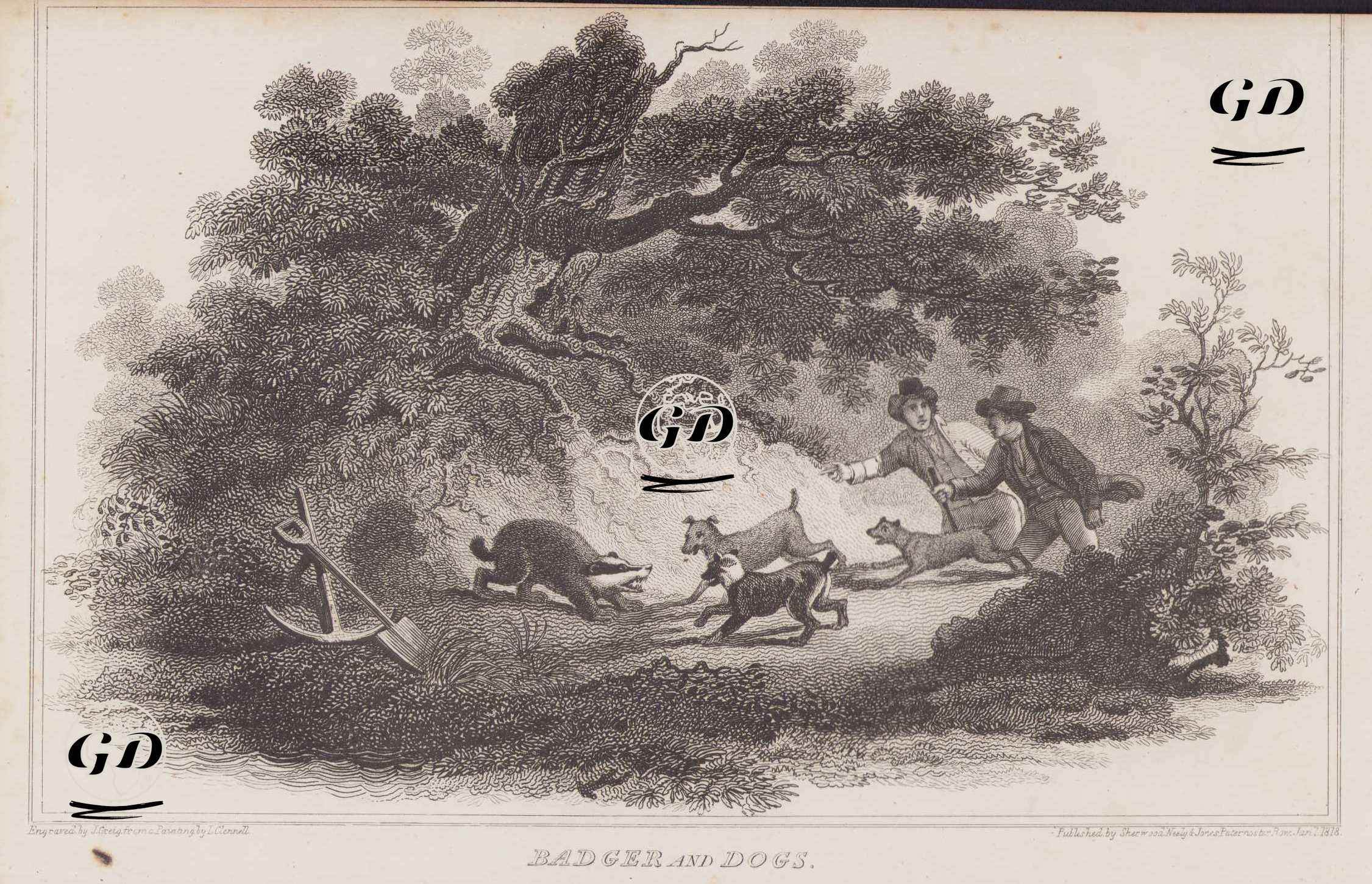 Porsuk ve Köpekler - Luke Clennell (1781-1840) - 1817