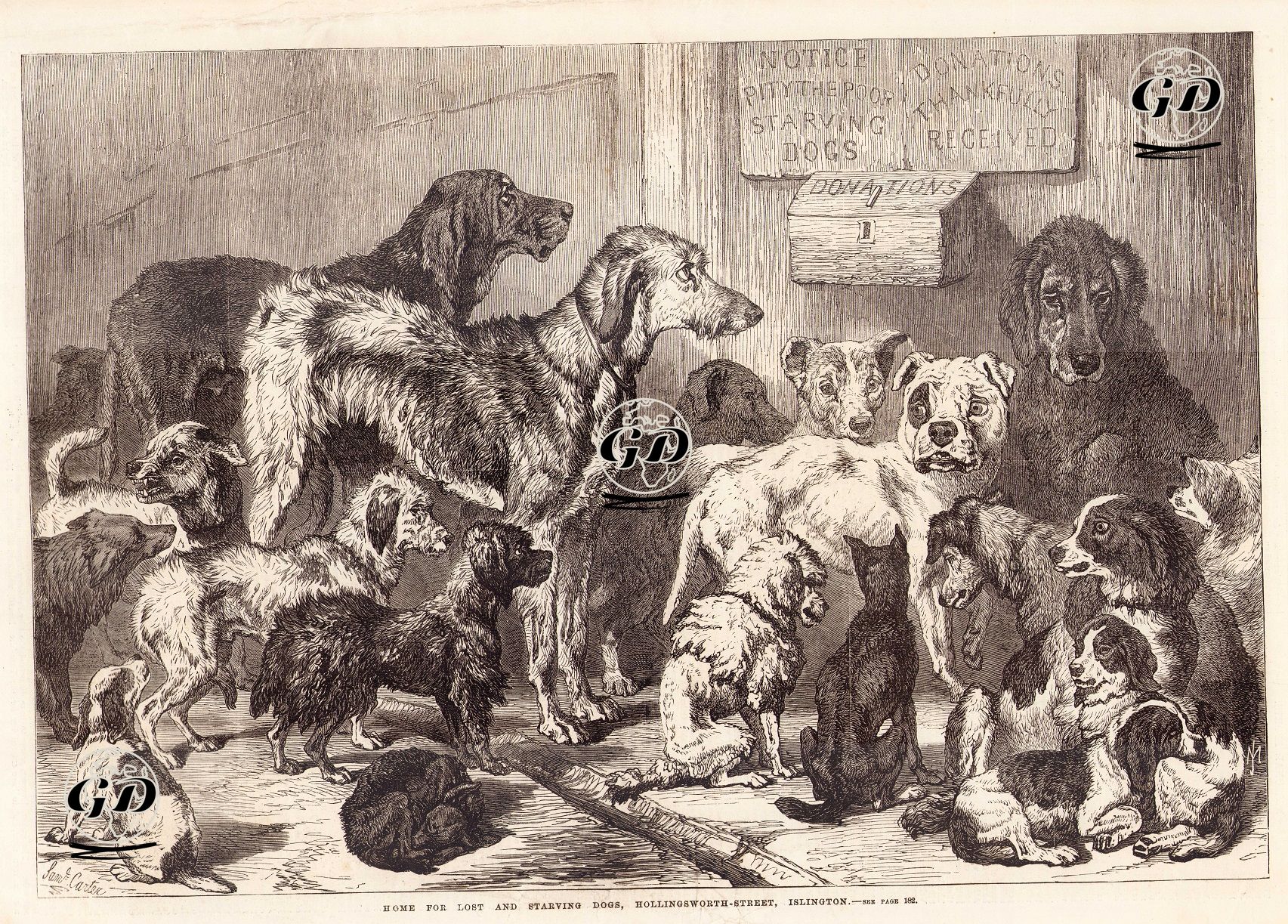 Kayıp ve Aç Köpekler Evi (Barınak), Hollingsworth Caddesi, İslington, Londra -  - 1868
