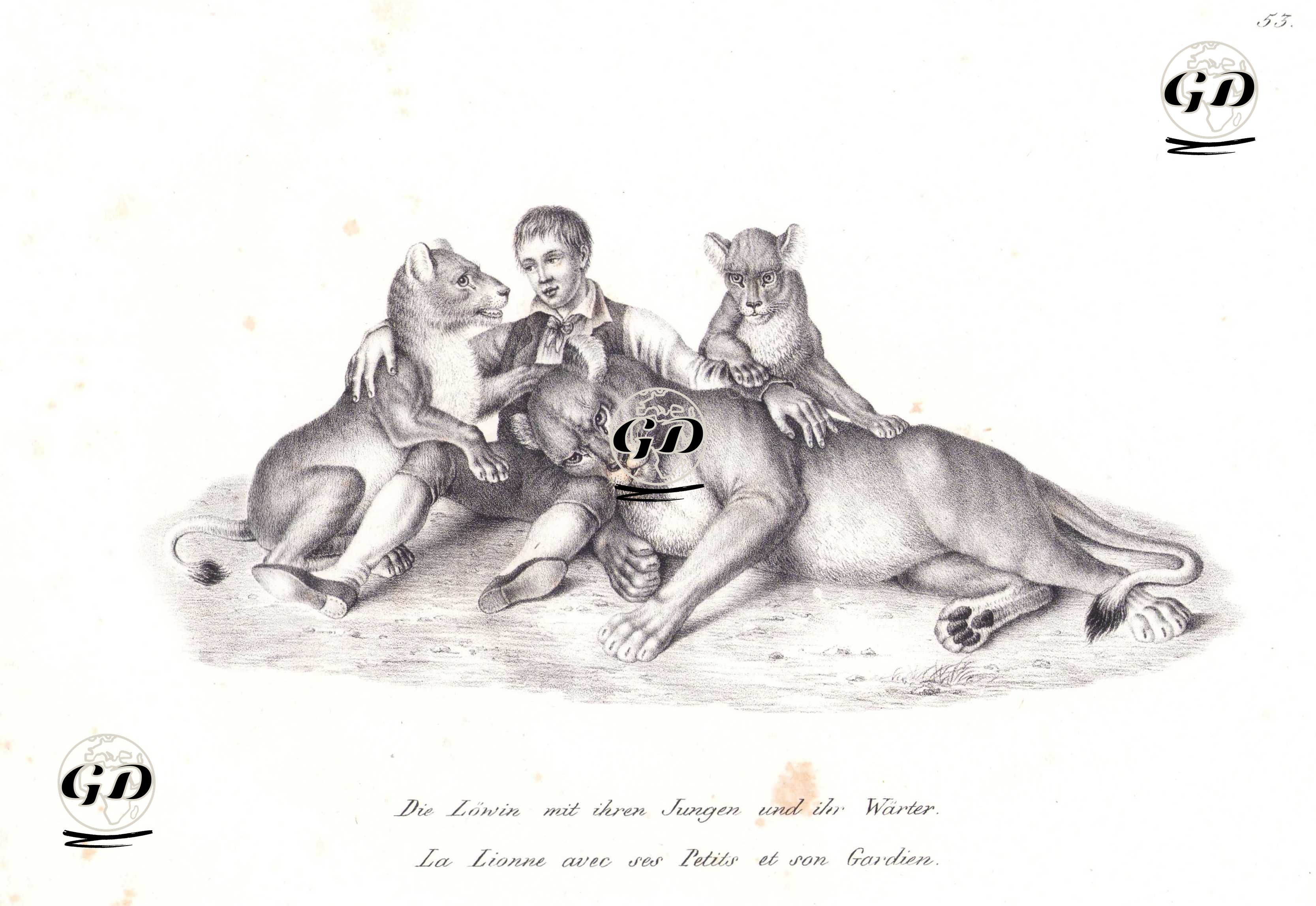 Dişi Aslan, Yavruları ve Koruyucusu - Karl Joseph Brodtmann (1787-1862) - 1827