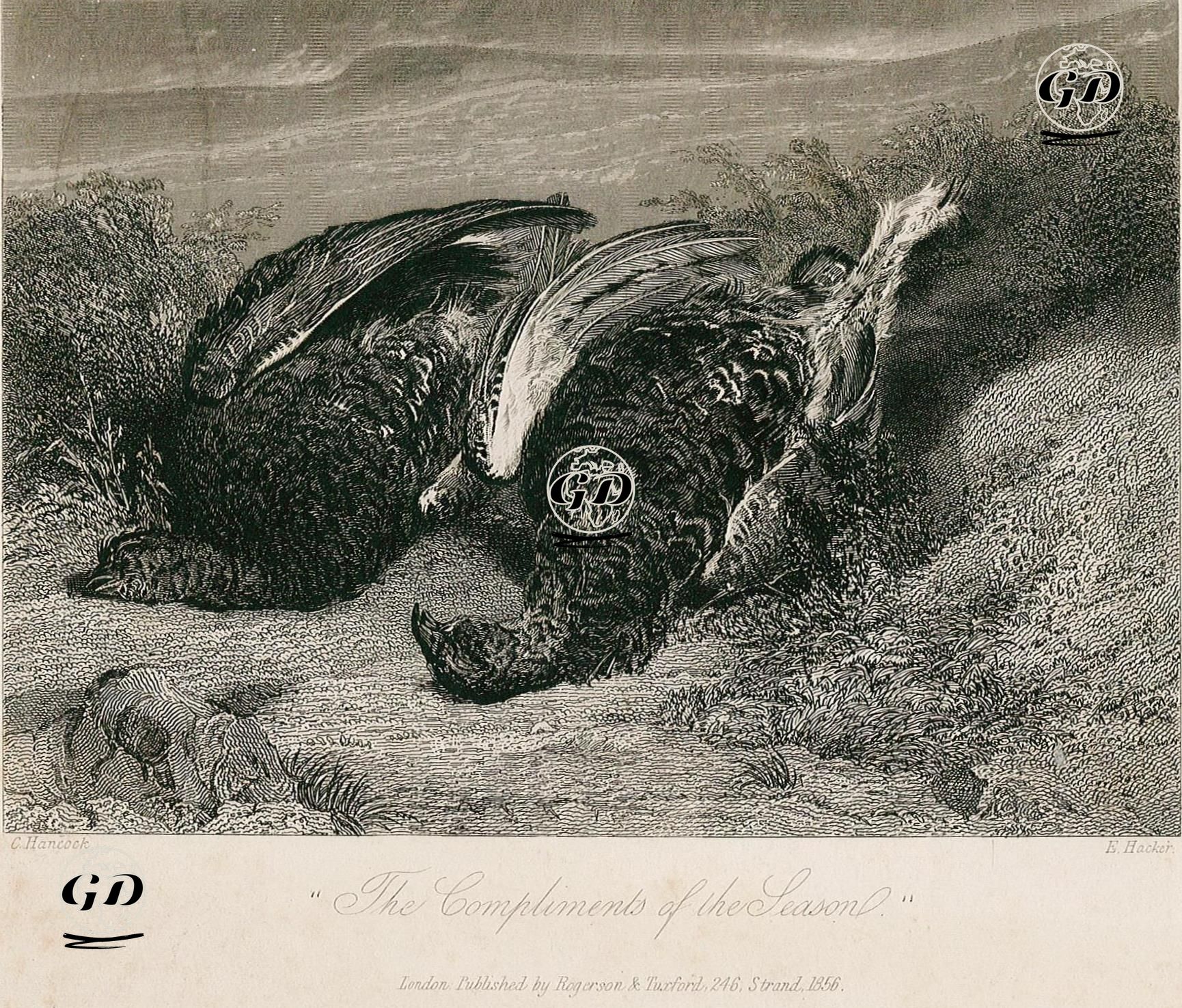 Mevsim Hediyeleri-Vurulmuş Orman Tavukları - Charles Hancock (1795-1868) - 1856