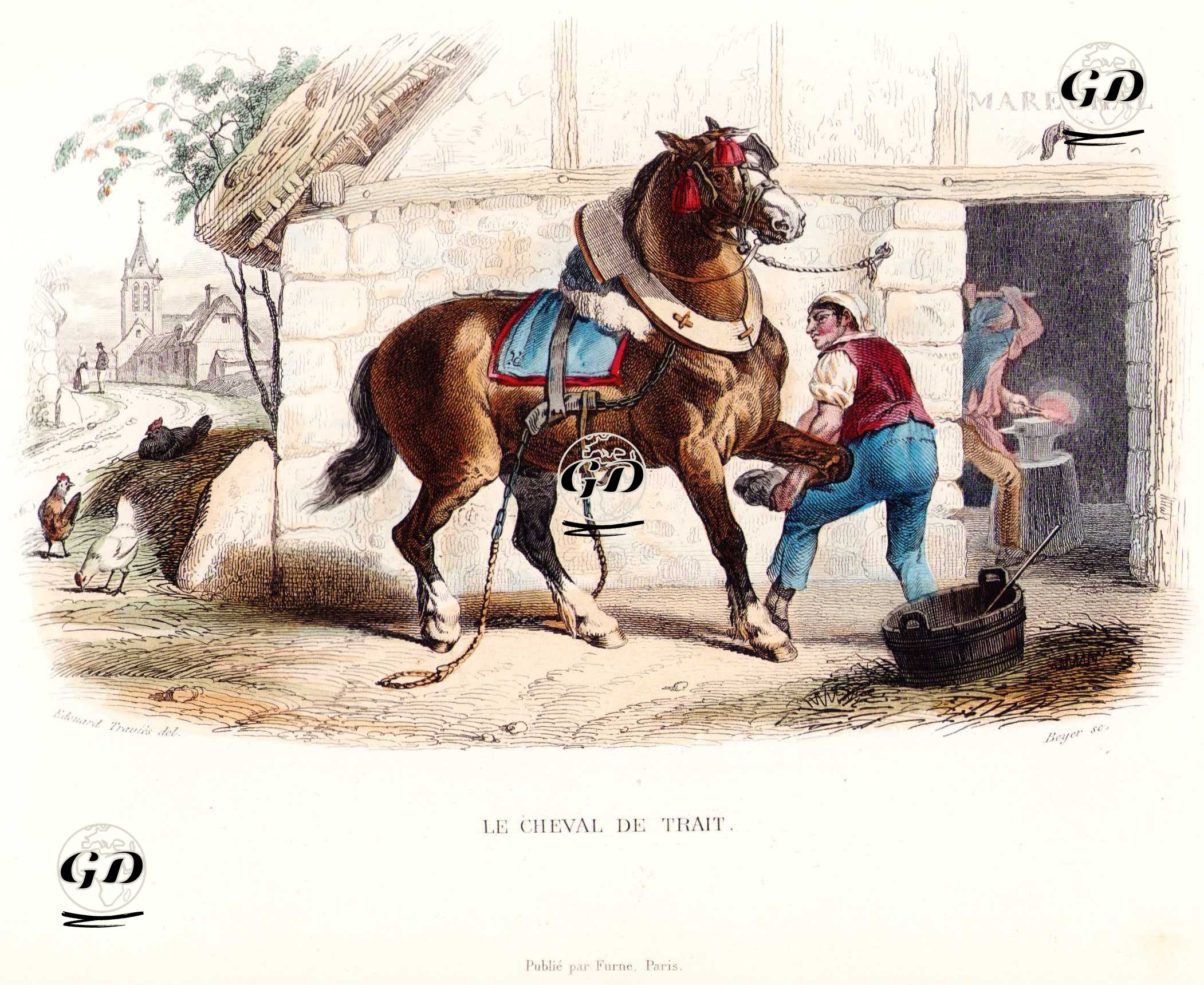Çeki Atı (Yük Arabası Atı) ve Nalbantçı - Edouard Travies (1809-1865)-Georges Buffon (1707-1788) - 1845