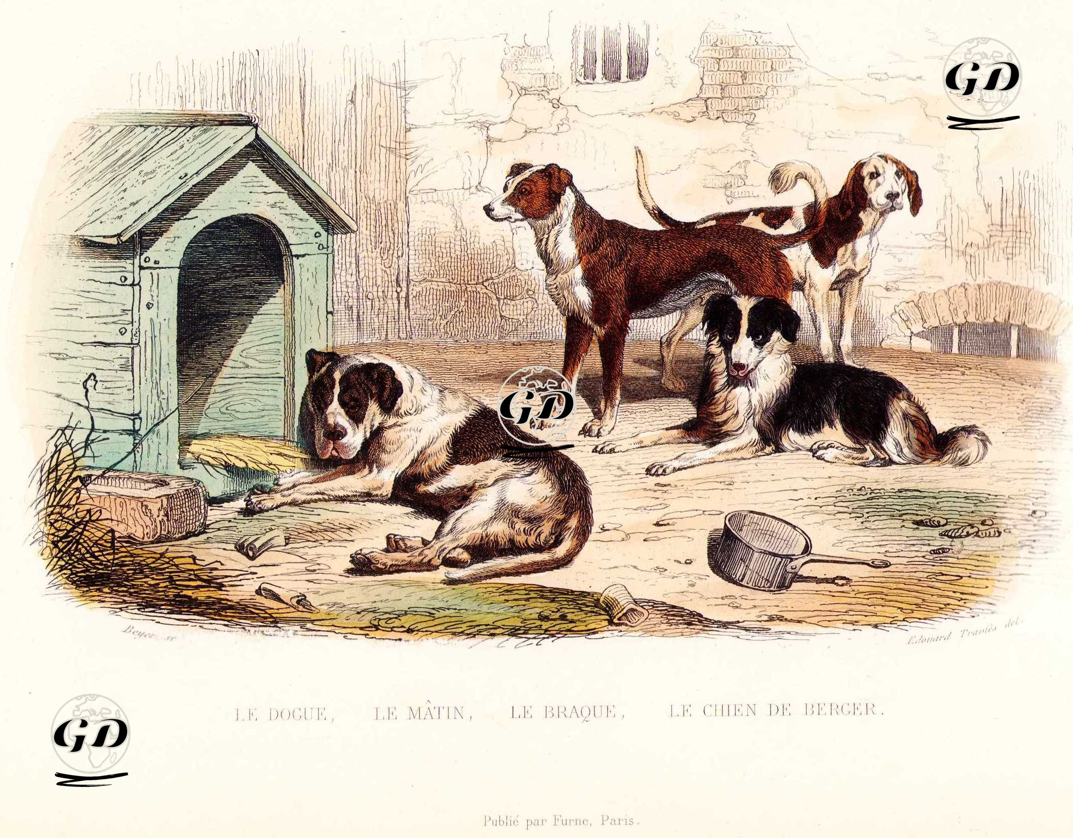 Le Dogue, Le Matin, Le Braque, Le Chien De Bercer (Mastiff, Matin, Pointer Dog, Shepherd Dog) - Edouard Travies (1809-1865)-Georges Buffon (1707-1788) - 1845
