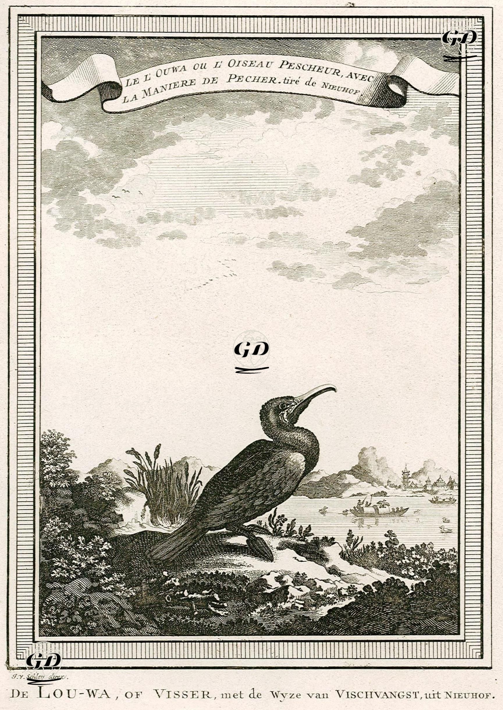 Çinli Balıkçıların Balık Avlamak İçin Kullandıkları Karabatak -  - 1749