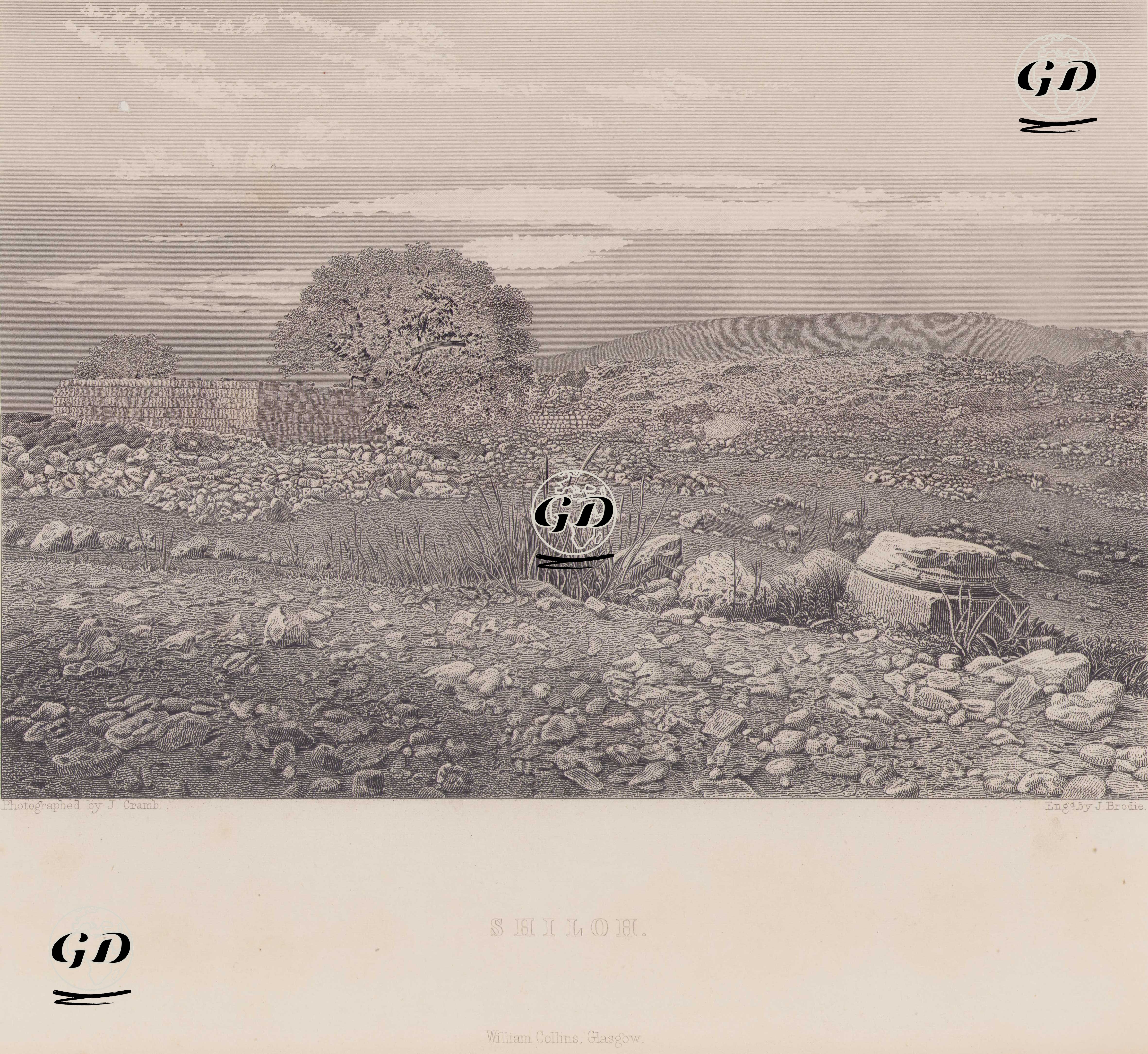 Şilo (Shiloh) Antik Kenti (Filistin) - J. Cramb (Photographer-Fotoğrafçı) - 1860`s