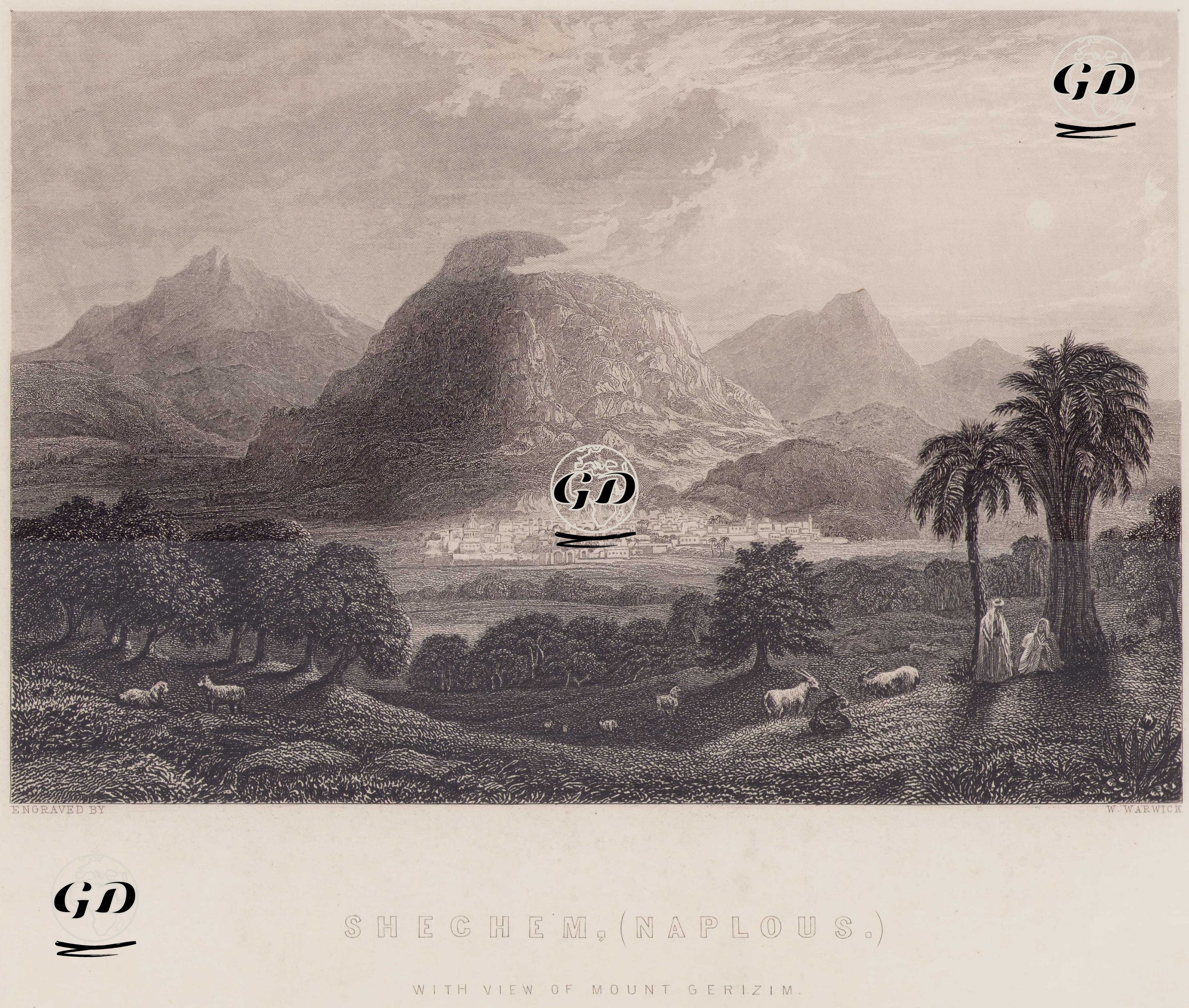 Shechem (Naplous) with View of Mount Gerizim -  - 1860`s