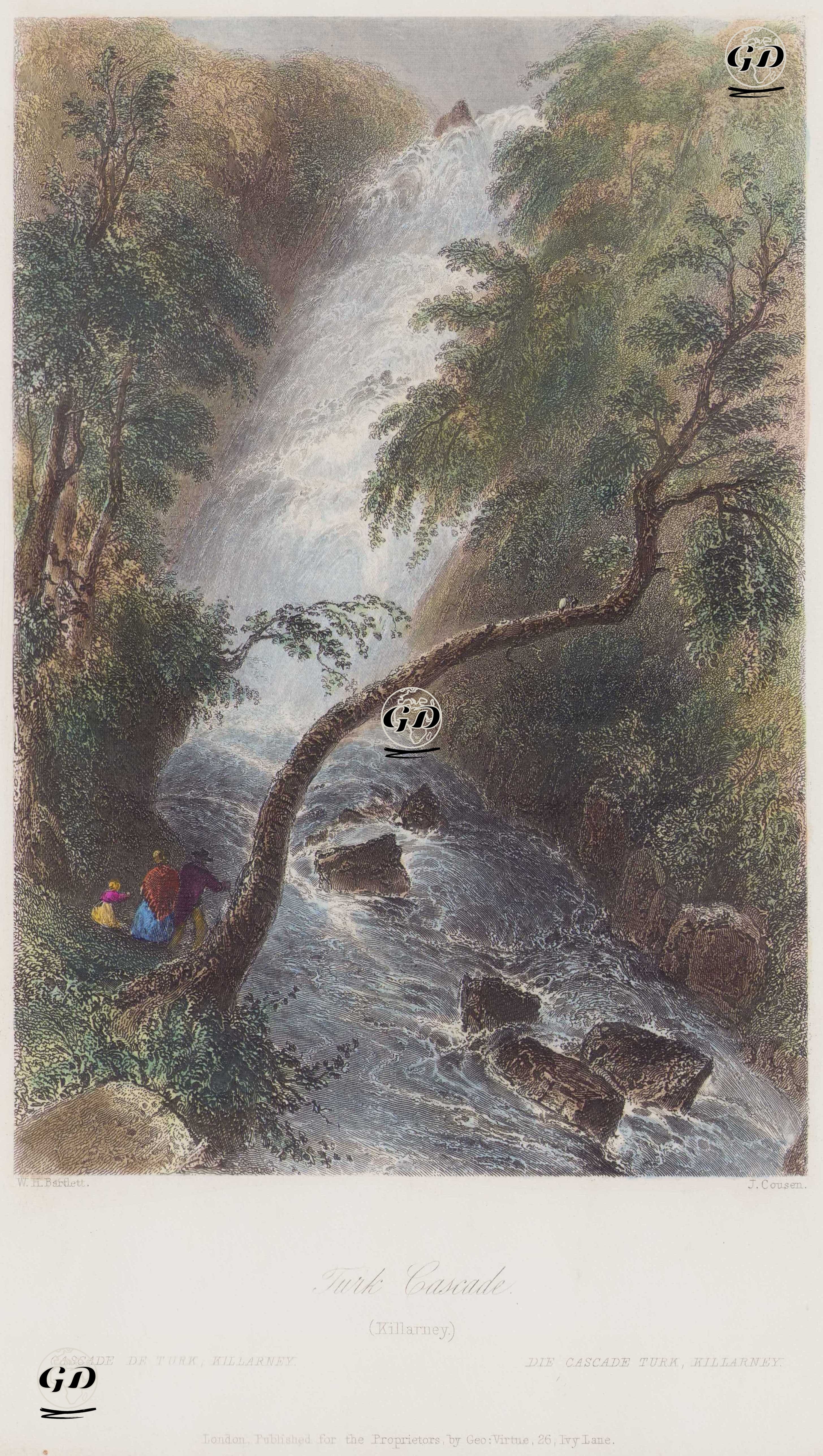 Turk Cascade (Killarney)  (Torc Waterfall) - W. H. Bartlett - 1840`s-1850`s