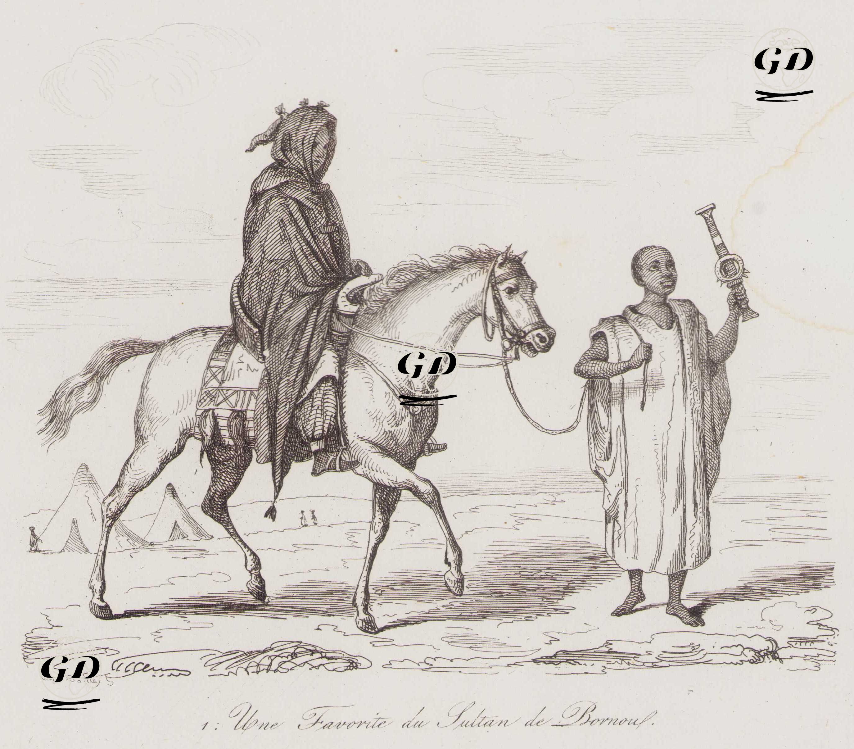 Bornu Sultanının Gözdesi - Juluen Leopold Boilly (1796 - 1874) - 1839