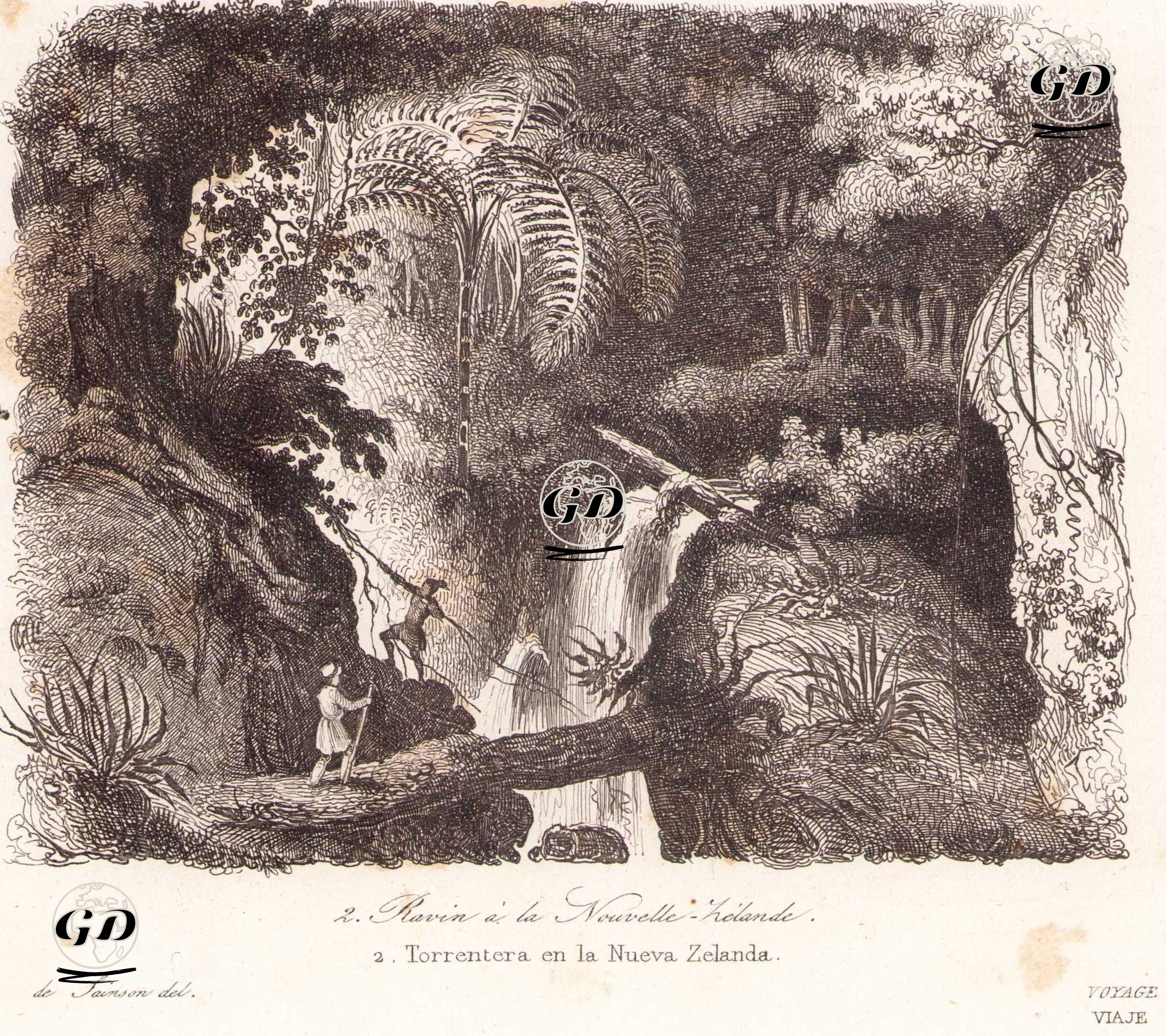 Riviere de la Nouvelle Zelande - Torrentera en la Nueva Zelanda - Louis Auguste de Sainson (1800-1874) - 1836