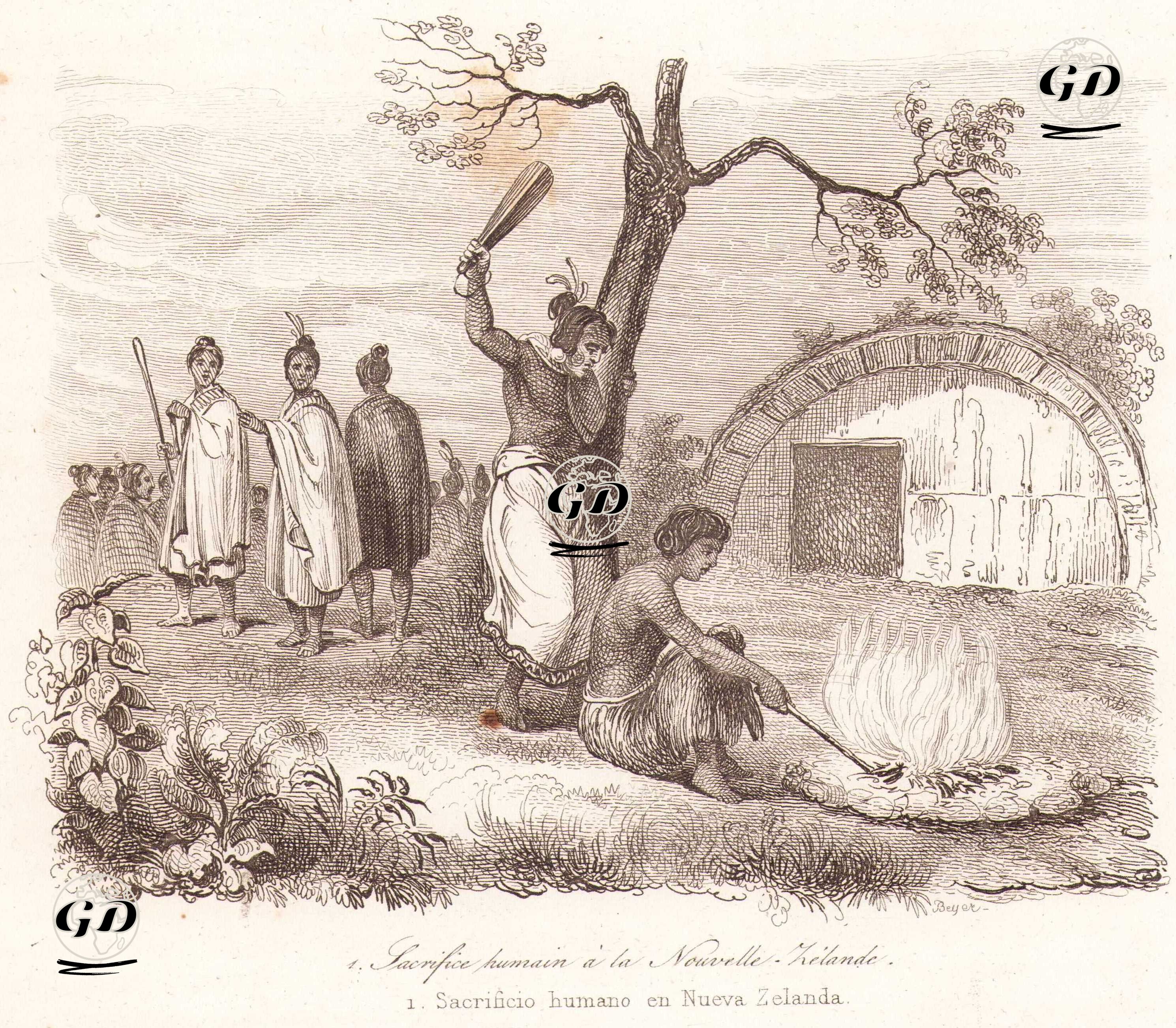 Yeni Zelanda’da İnsan Kurbanı - Louis Auguste de Sainson (1800-1874) - 1836