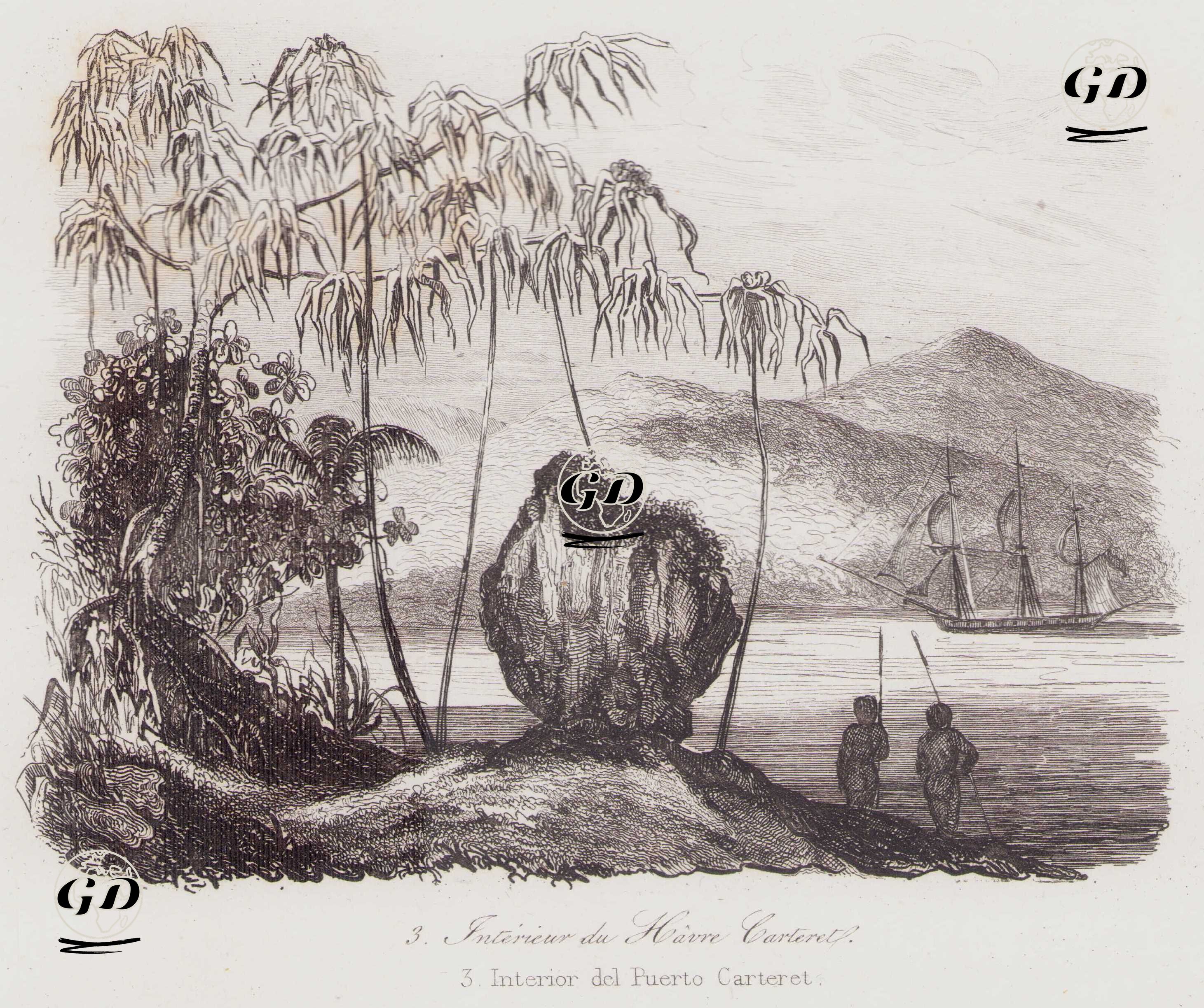 Carteret Limanı İç Kesimi - Louis Auguste de Sainson (1800-1874) - 1834