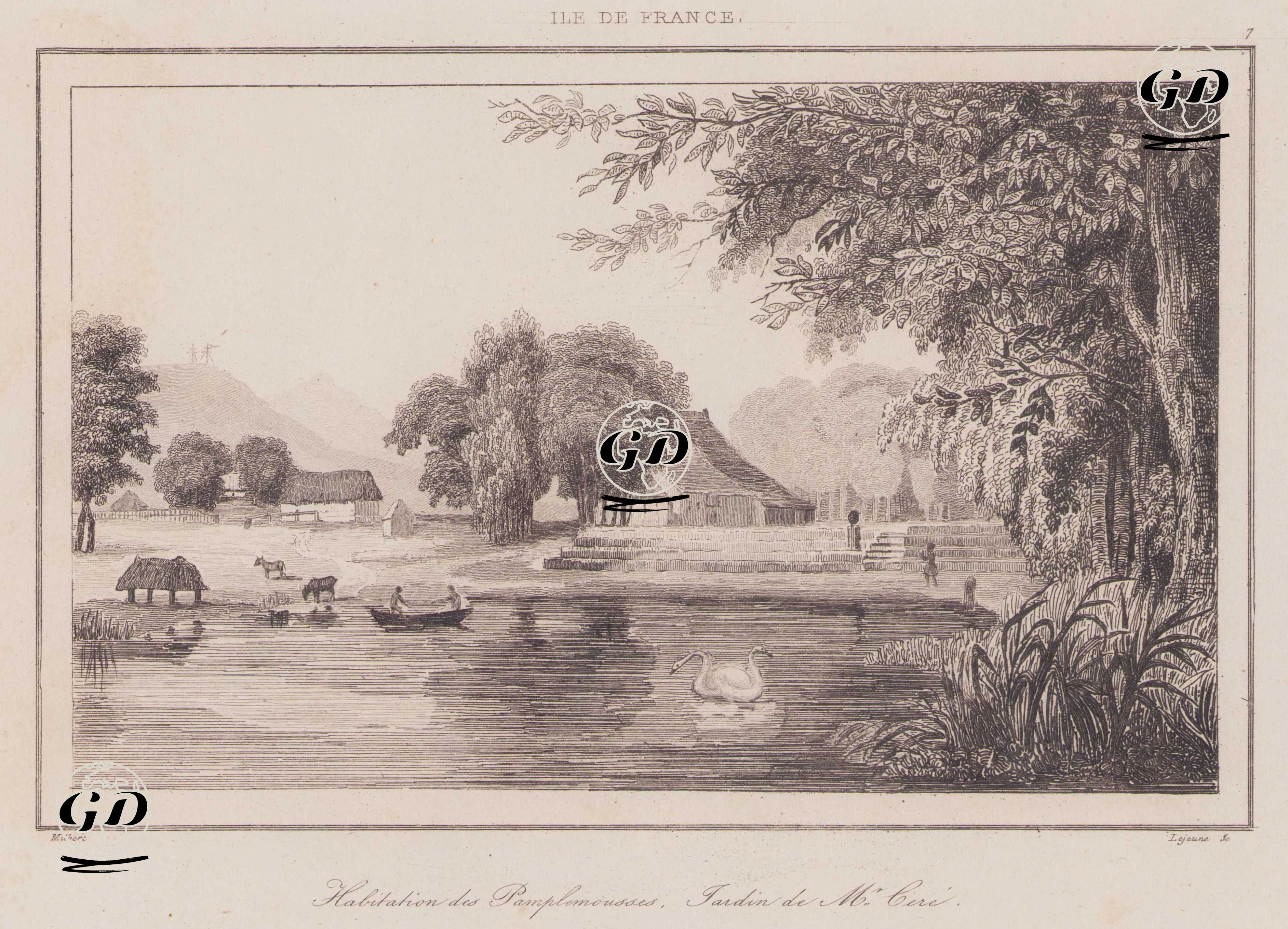 Pamplemousses Botanik Bahçesi, Mauritius - Milbert - 1839