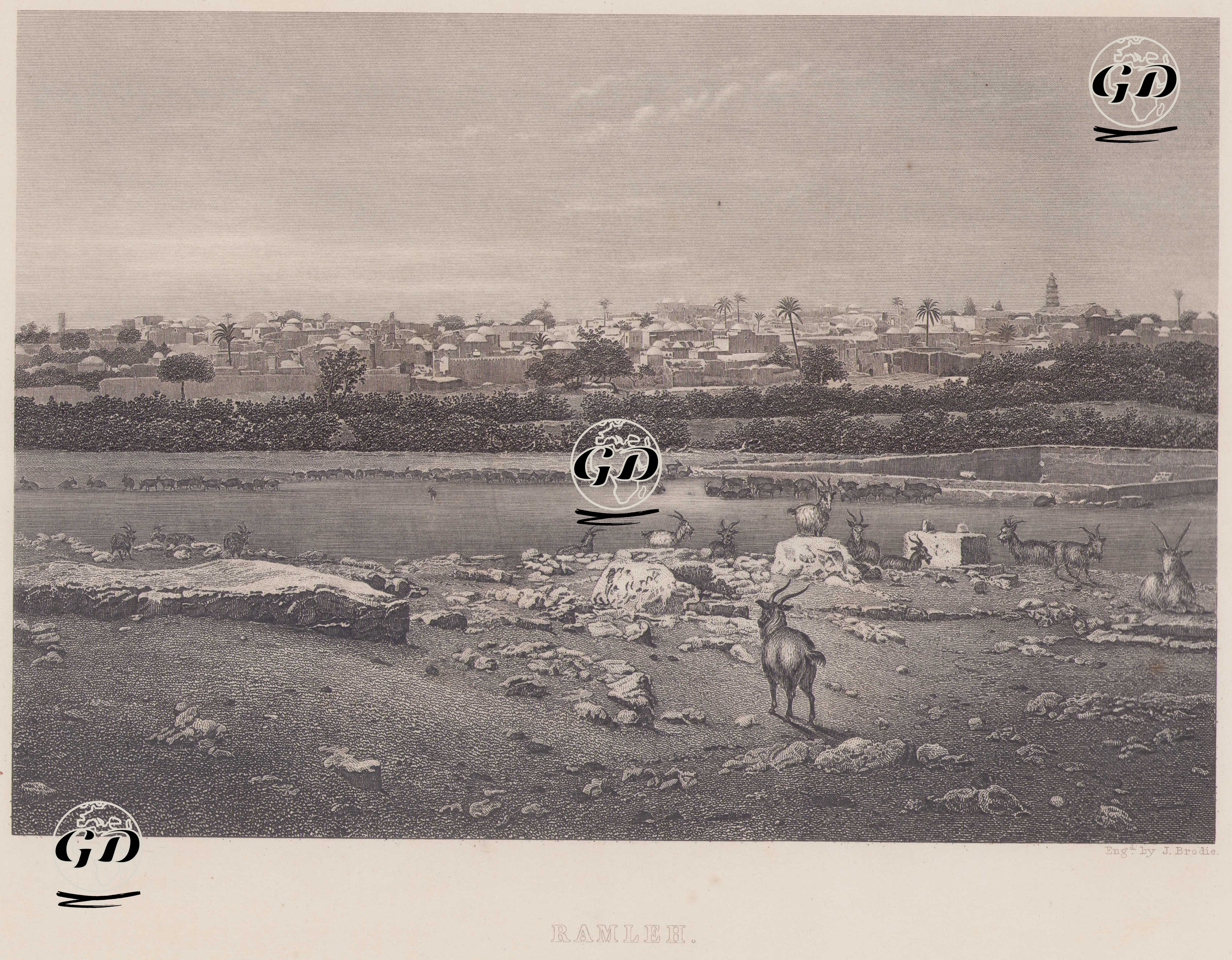 Ramle (Filistin) Görünümü -  - 1830`s