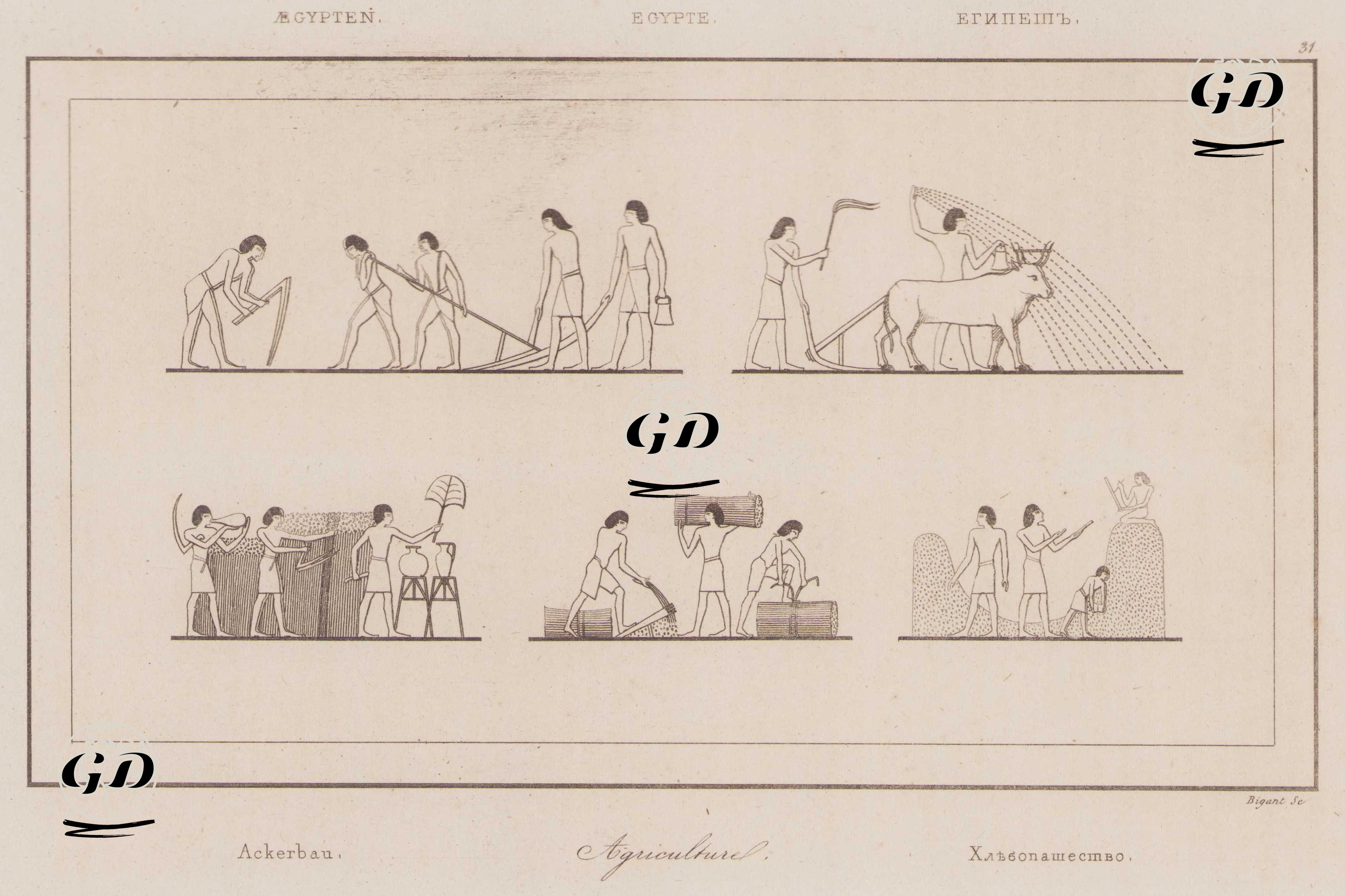 Agriculture, Egypte - Ackerbau, Aegypten (Agriculture Scenes in Ancient Egypt) -  - 1839
