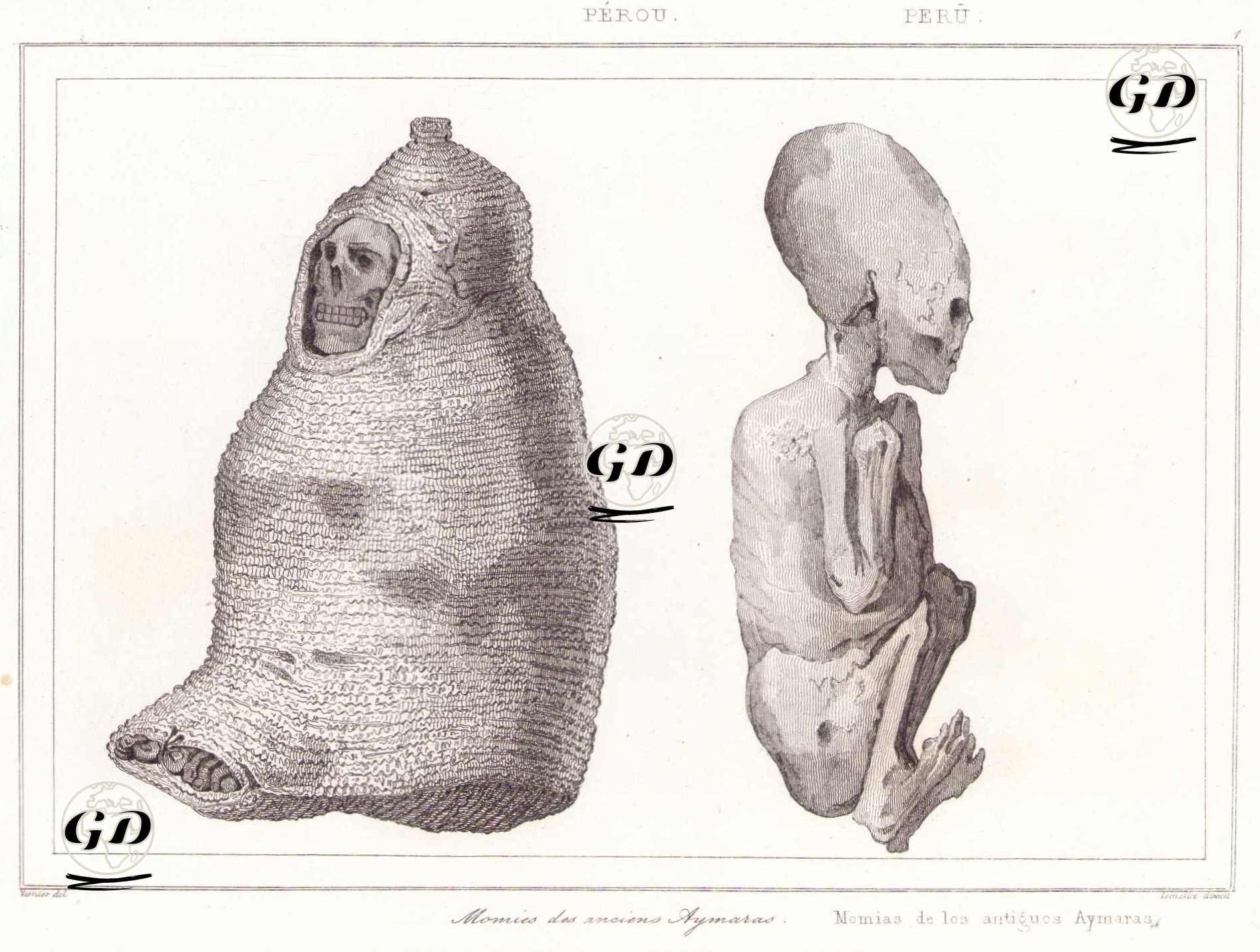 Antik Aymara Mumyaları (Plate 1) - Vernier - 1843