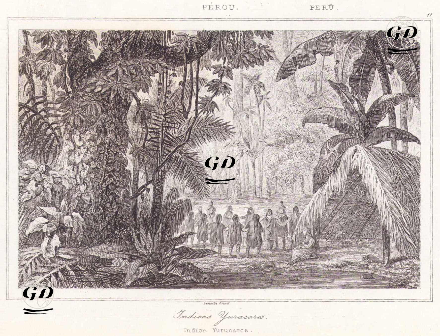 Amazon Havzasında Yaşayan Yurucare Yerlileri, Bolivya (Plate 11) -  - 1843