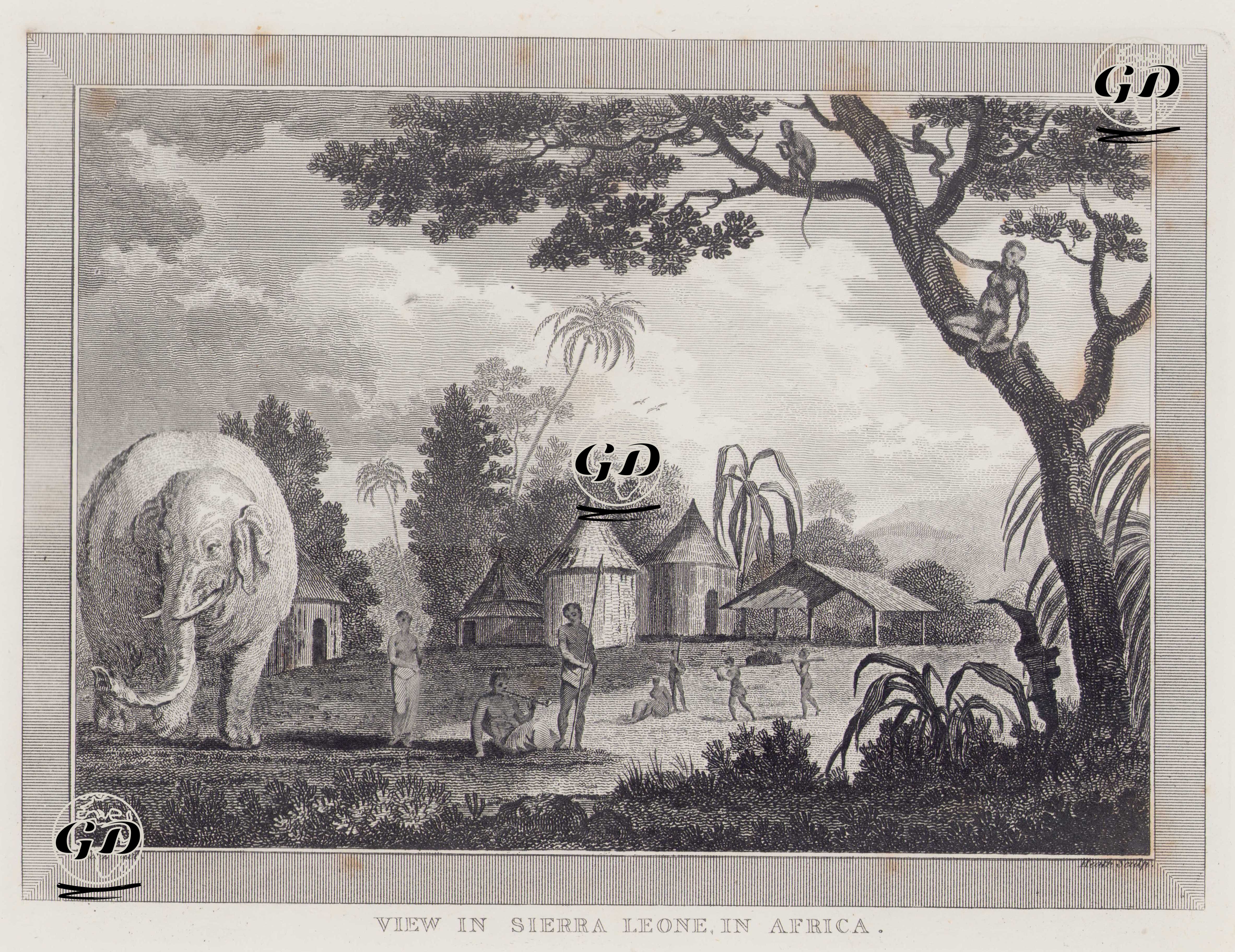 Afrika’da Sierra Leone Manzarası - Conrad Martin Metz (1749-1827) - 1806
