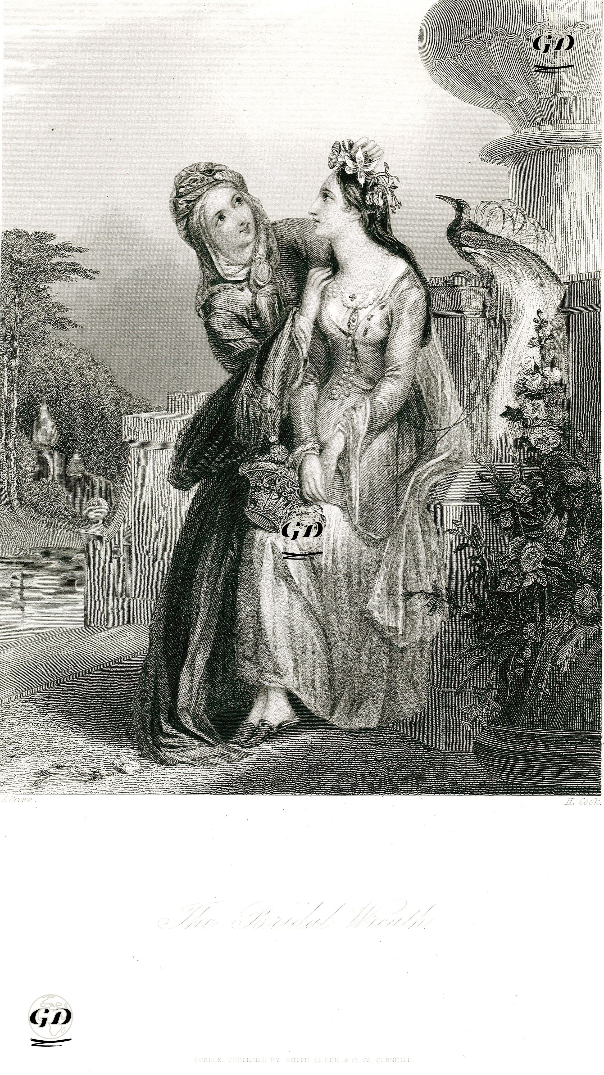 Gelin Çiçeği - Joseph Brown (1809-1887) - 1840's