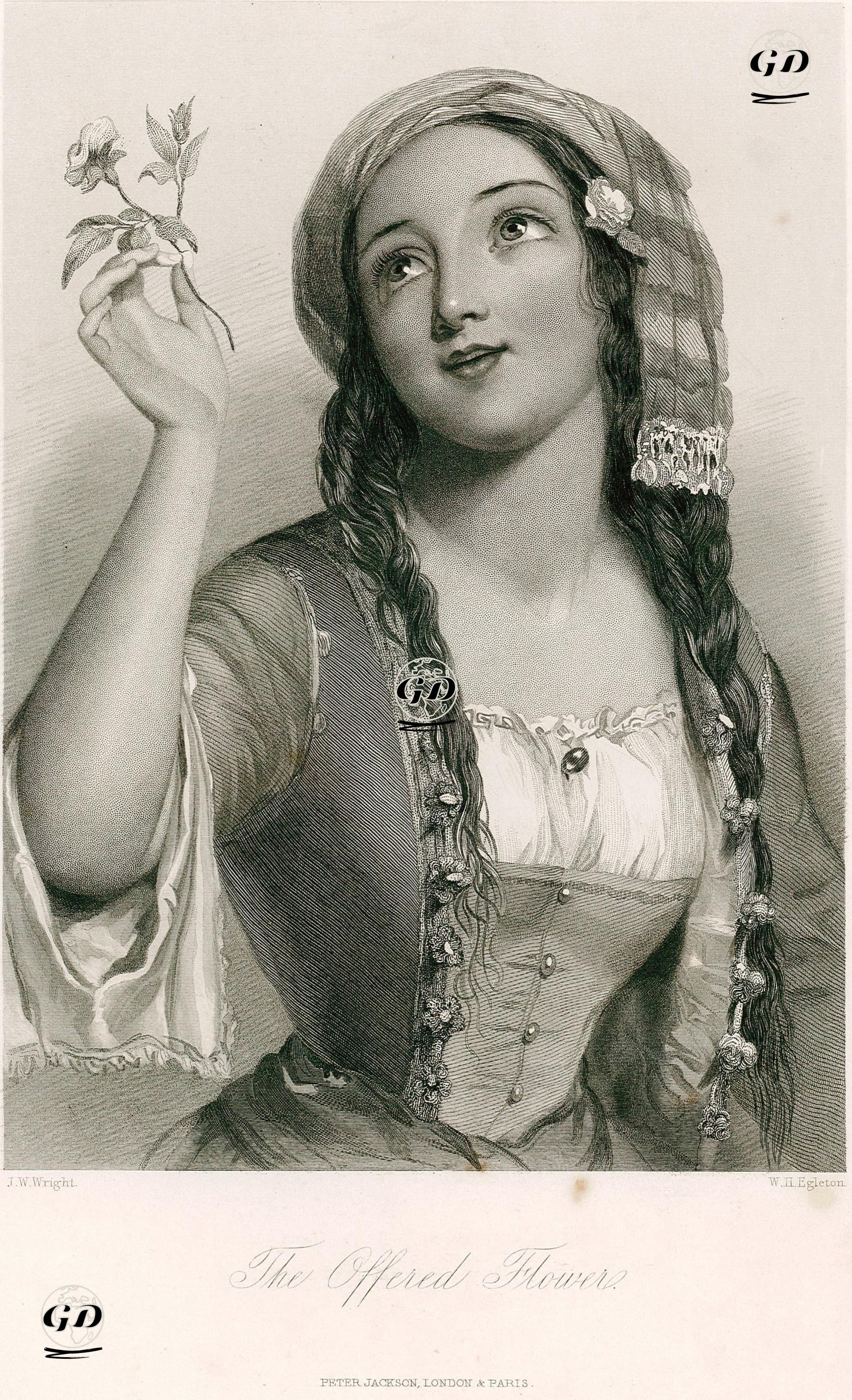 Sunulan Çiçek - John William Wright (1802 -1848) - 1849