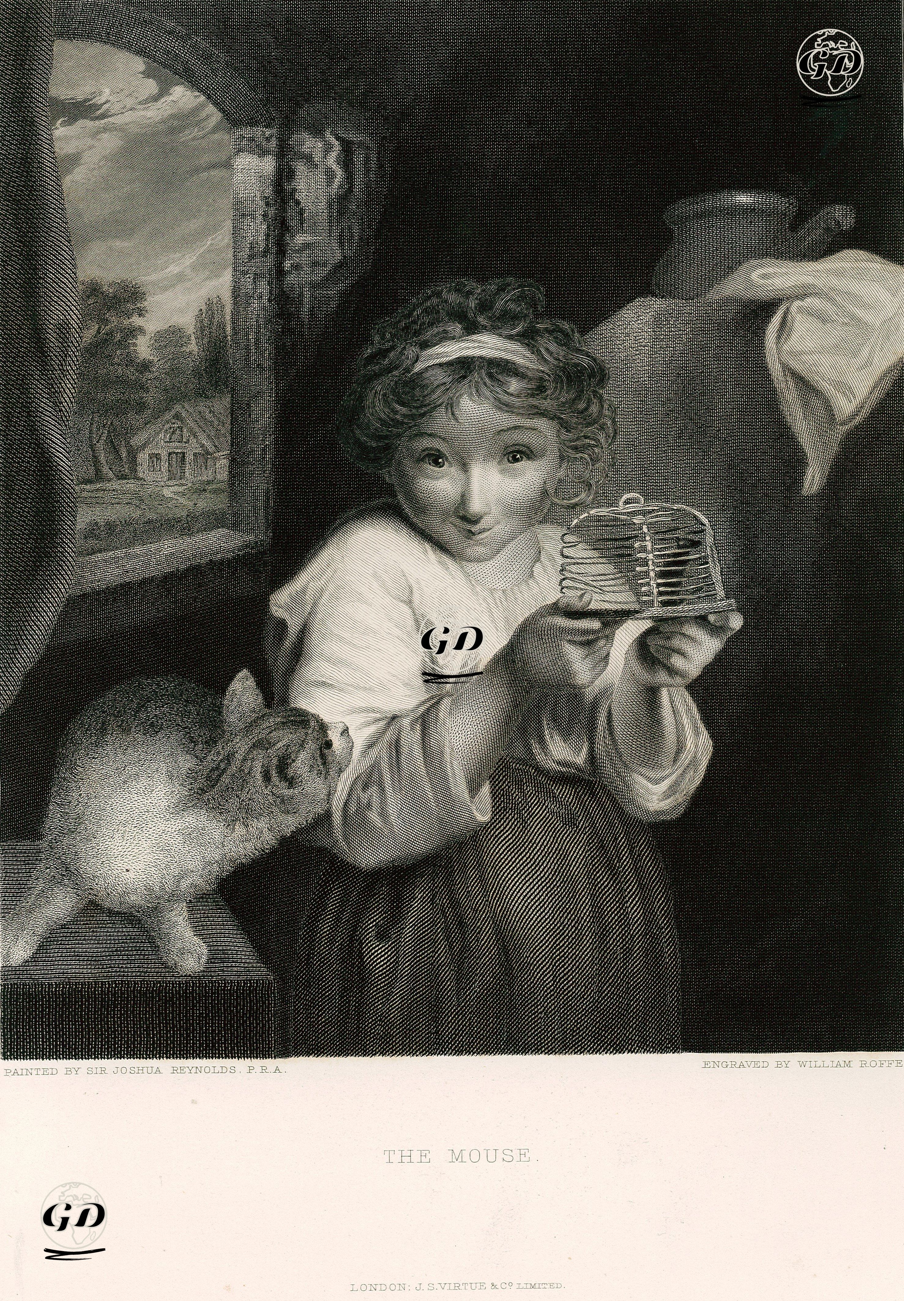 The Mouse  - Joshua Reynolds (1723-1792) - 1883