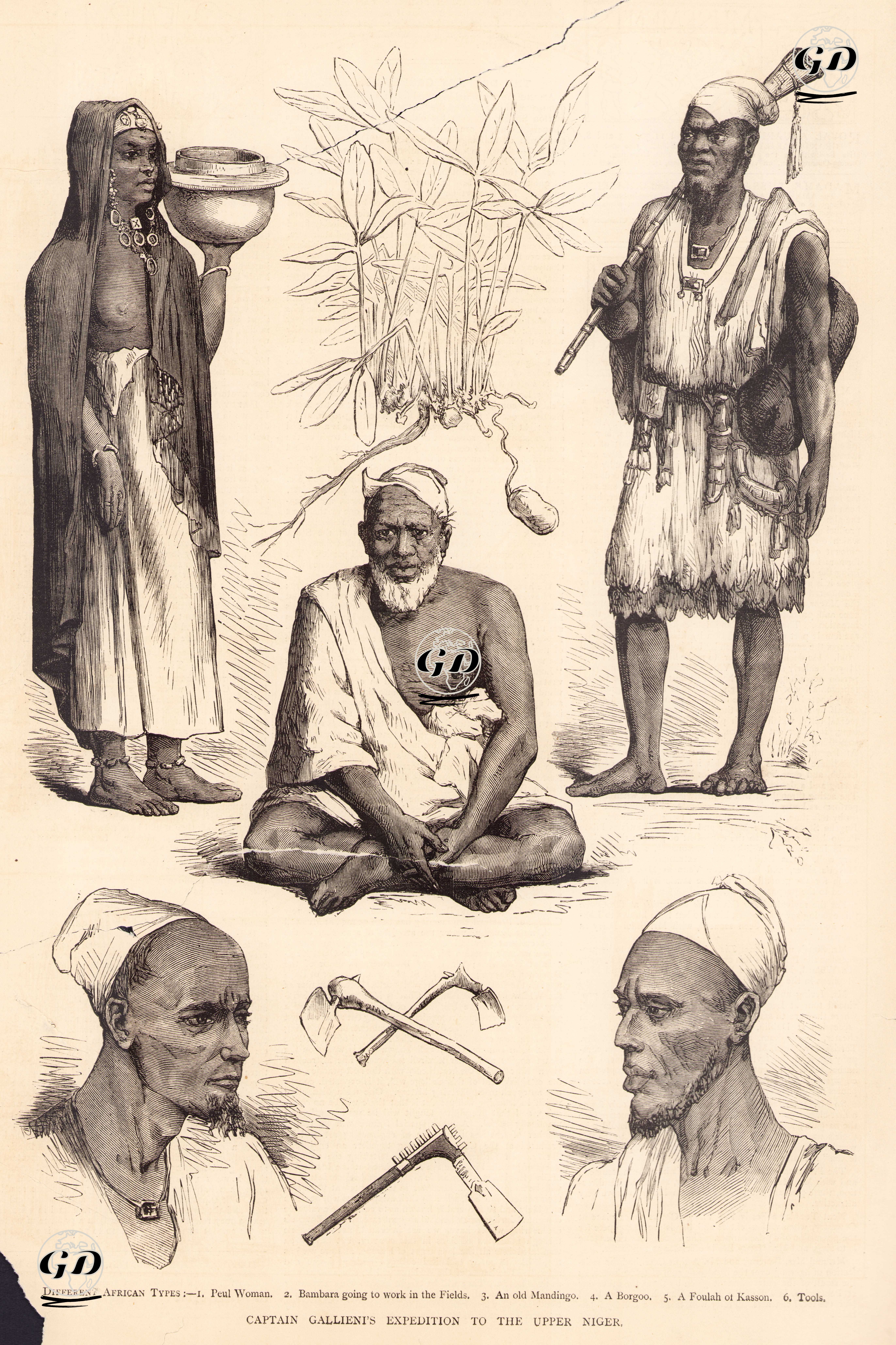 Different African Types- 1.Peul Woman 2.Bambara Going To Work in The Fields 3.An Old Mandingo 4.A Borgoo 5.A Foulah Of Kasson 6.Tools -  - 1881