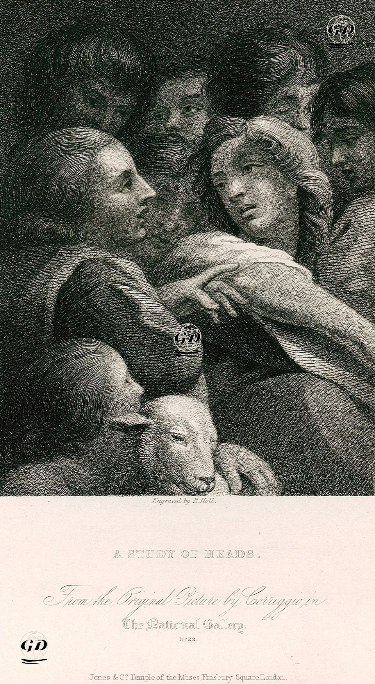 Portre Çalışması - Antonio Da Correggio (1489-1534) - 1835